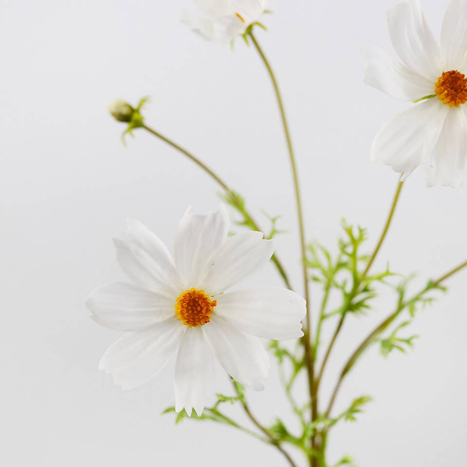 Real Touch White Cosmos 29” Prestige Botanicals