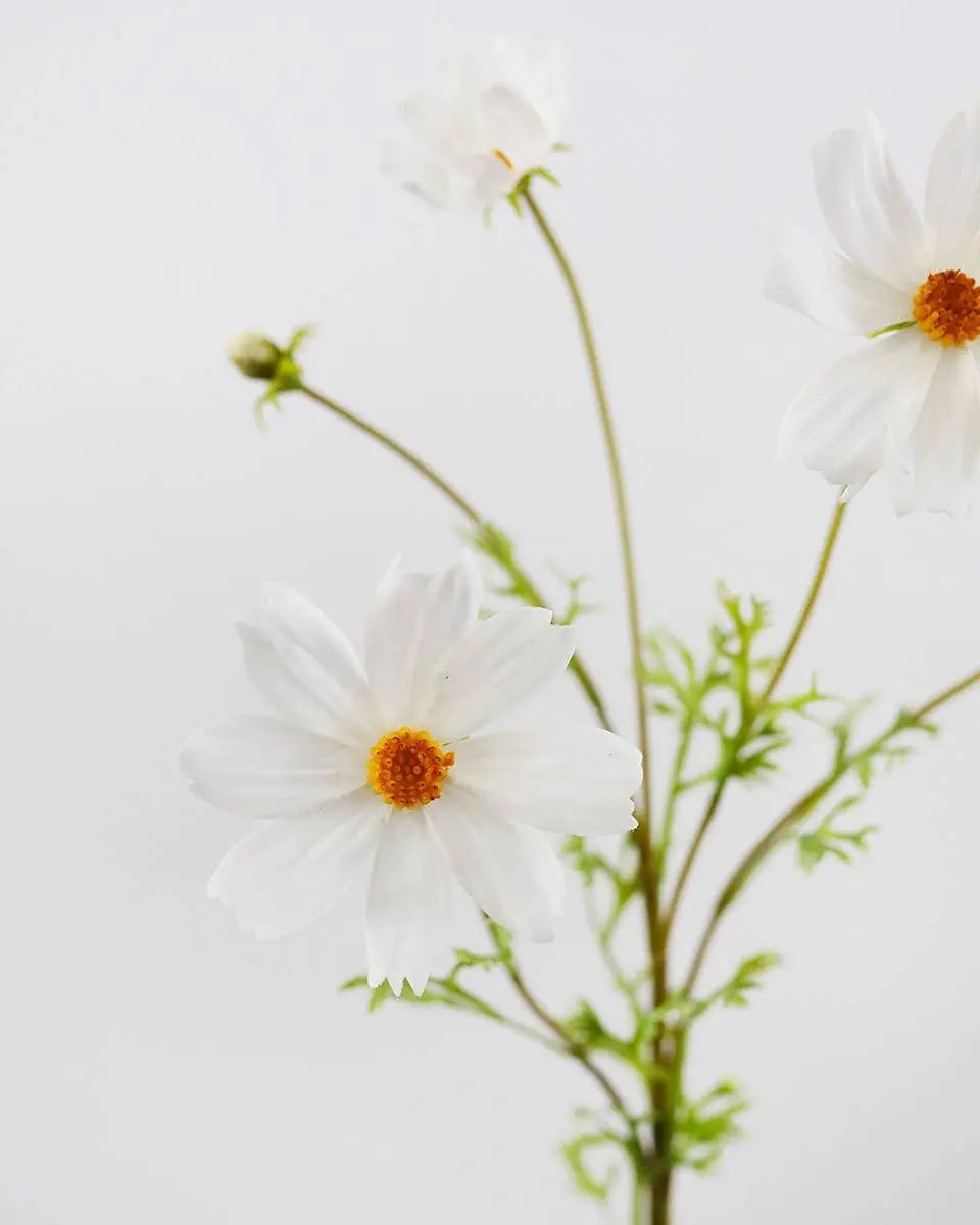 Real Touch White Cosmos Stem - Prestige Range Prestige Botanicals