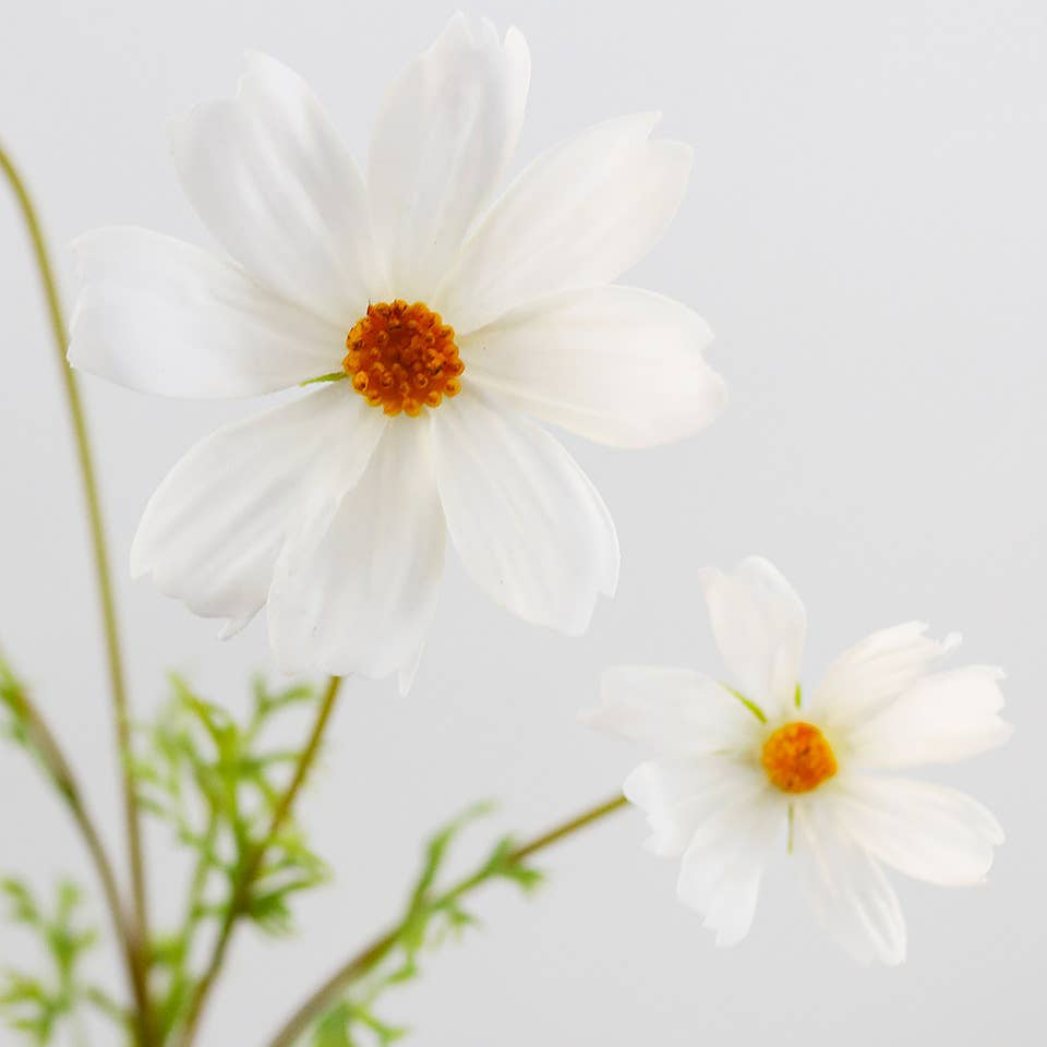 Real Touch White Cosmos 29” Prestige Botanicals