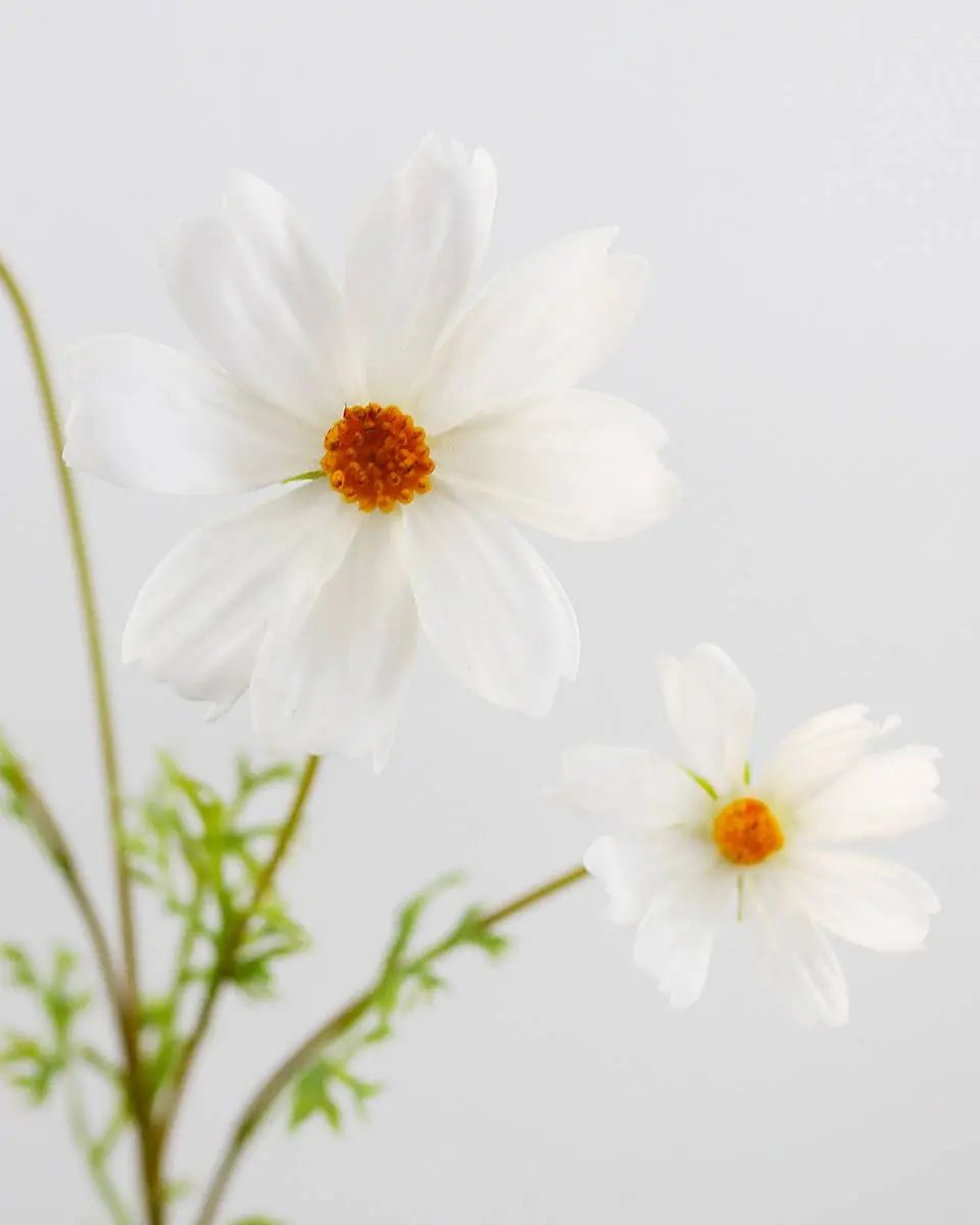 Real Touch White Cosmos Stem - Prestige Range Prestige Botanicals