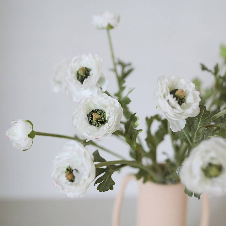White Ranunculus 18.5" Prestige Botanicals