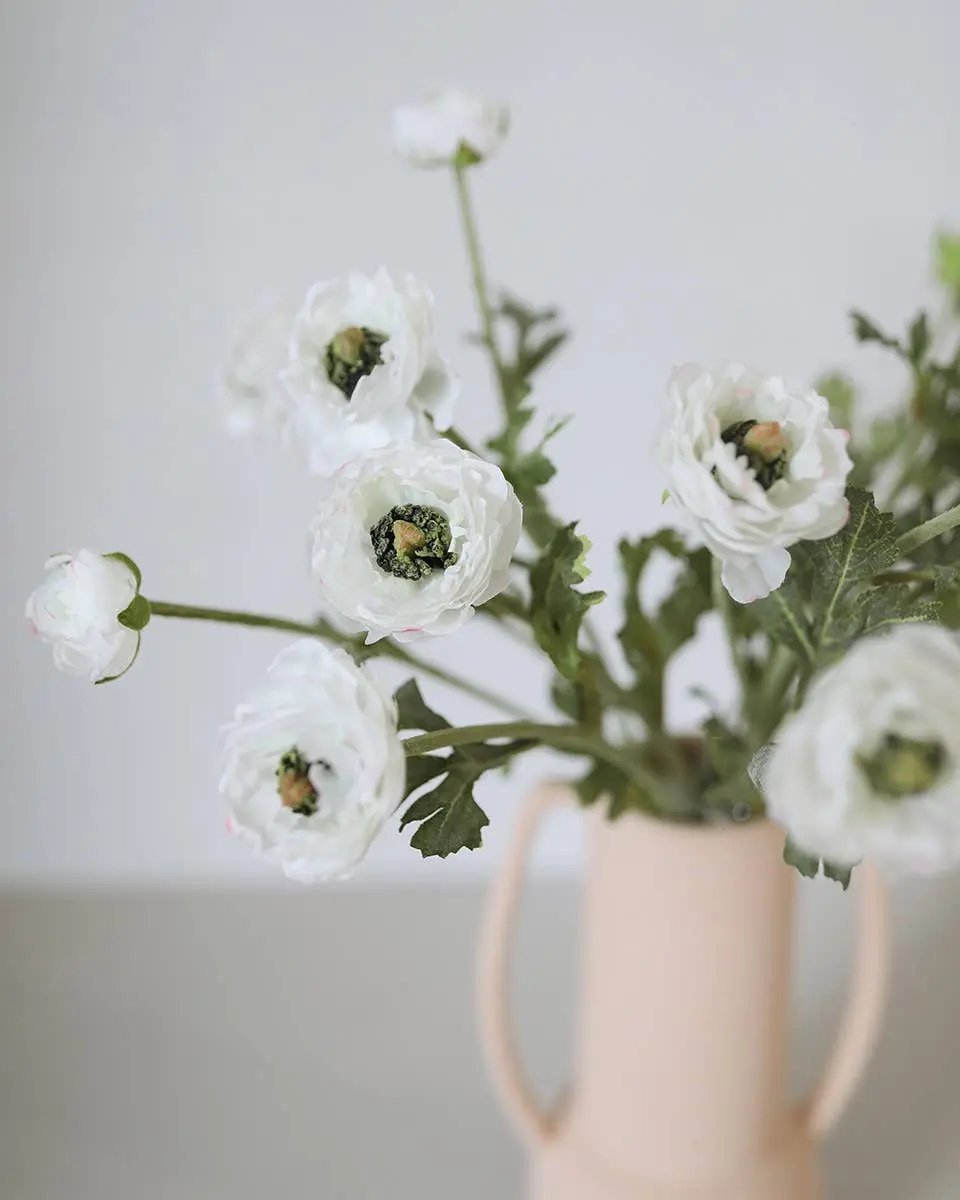 White Ranunculus Stem - Prestige Range Prestige Botanicals