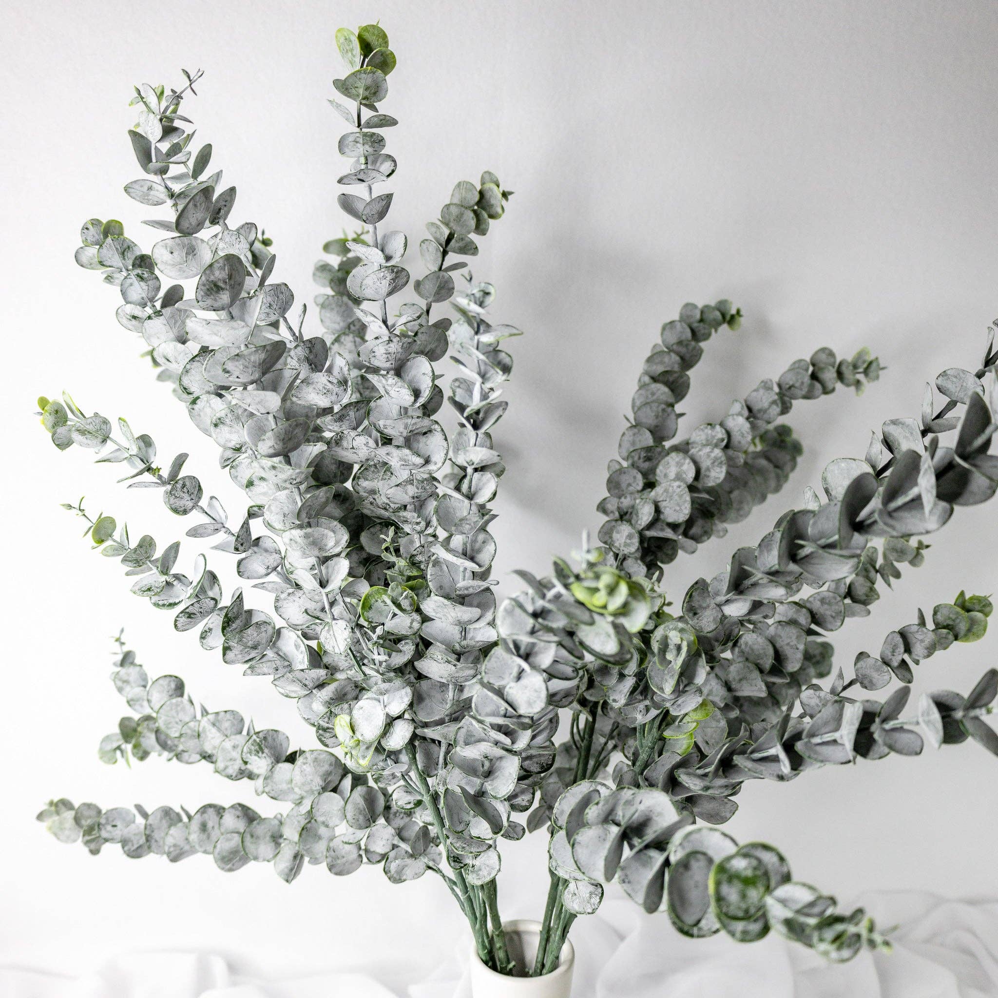 Long Spinning Gum - 6 x Single Stems Pack