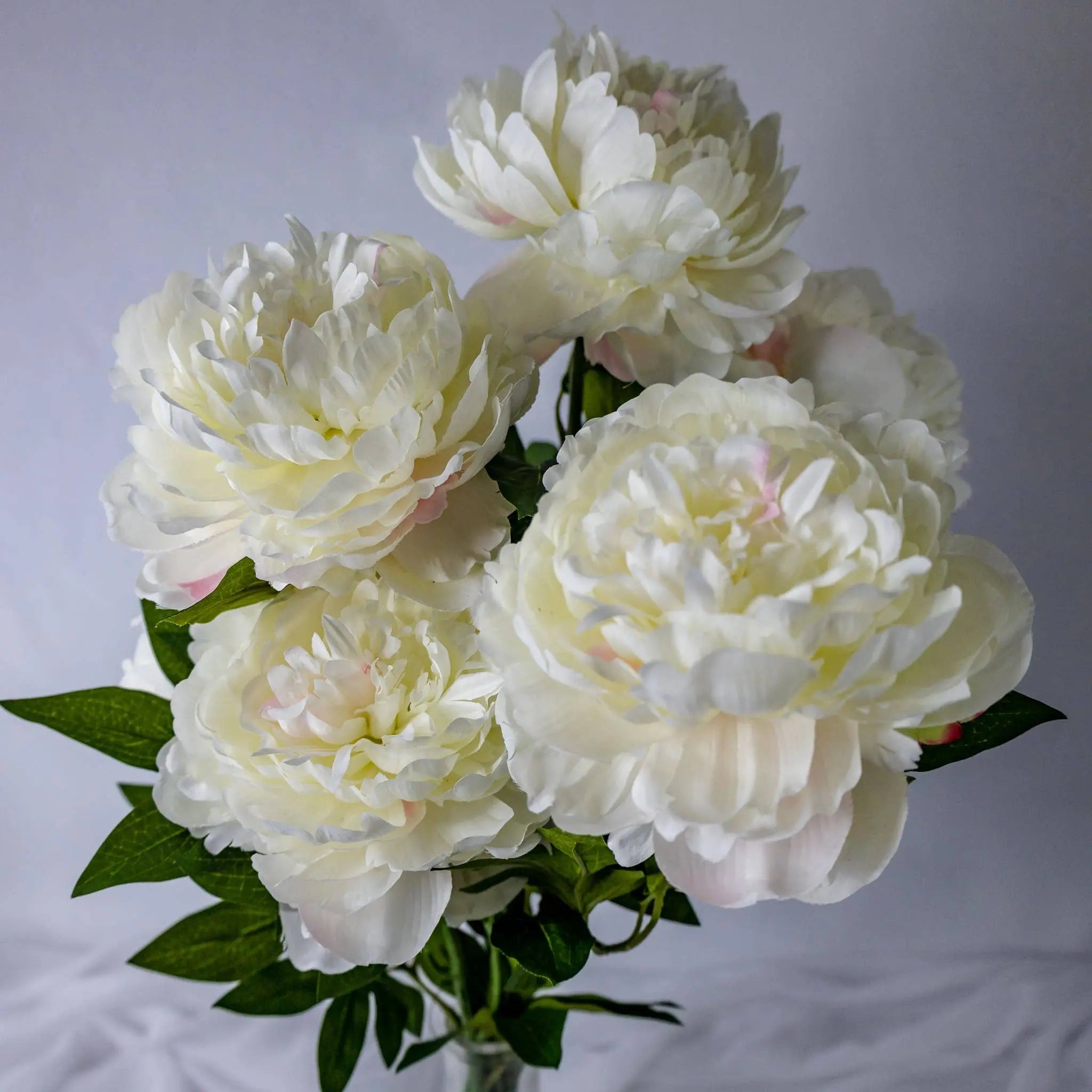 White Peony Bloom Large - Realistic Artificial Flowers: Single Stem Realistic Artificial Flowers