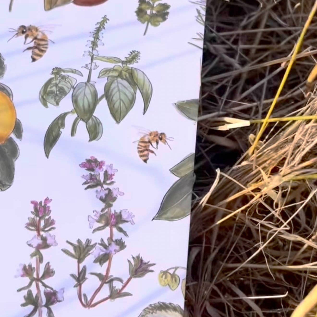 Garden Party Notebook – Treasure Inventory Collection