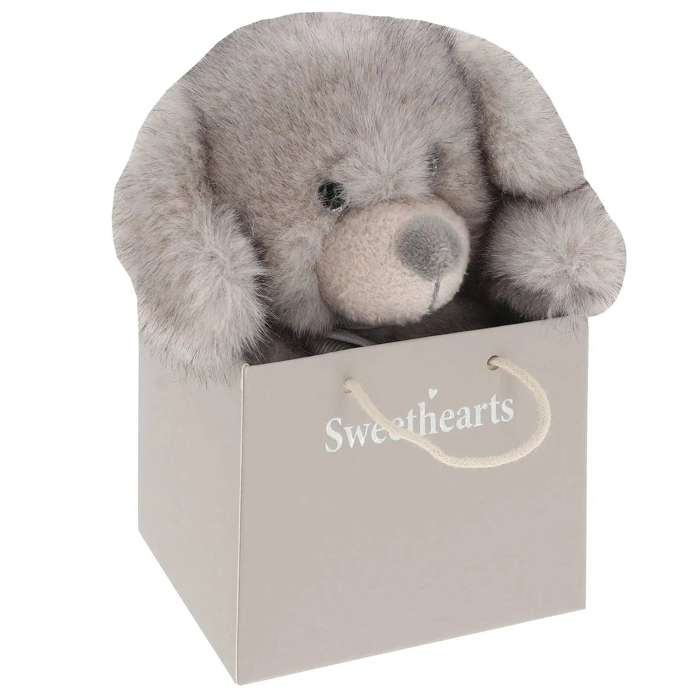 Sweethearts Puppy - Small Joe Davies