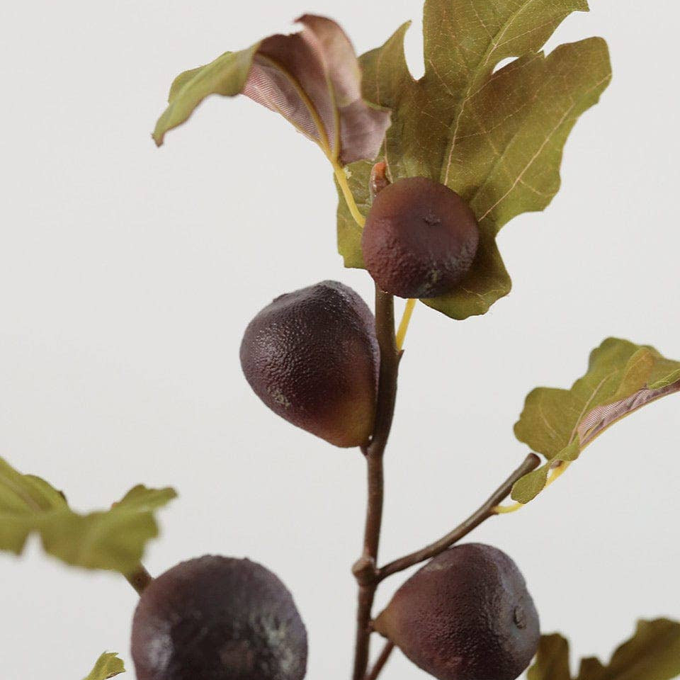 Faux Fig Fruit Branch 37" Prestige Botanicals