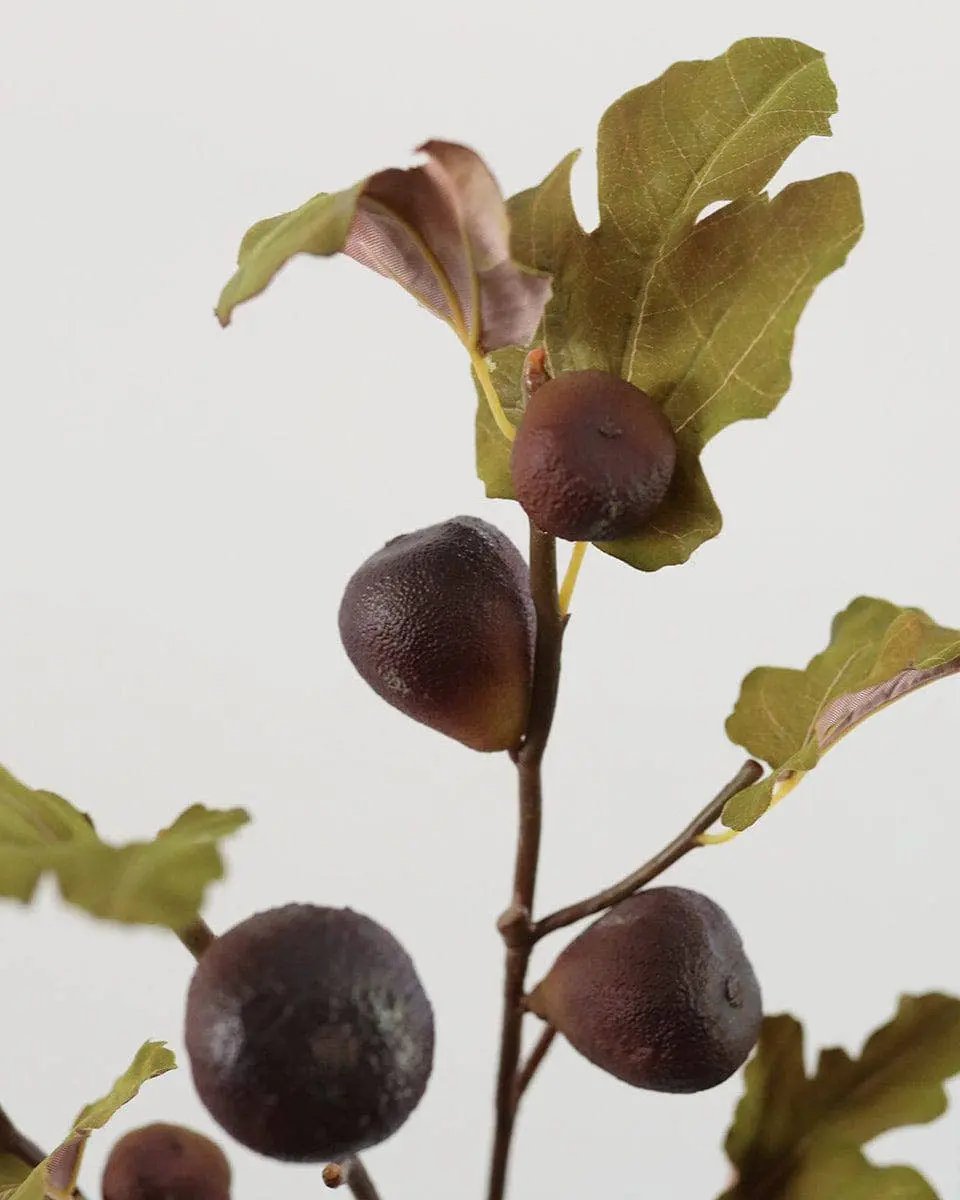 Faux Fig Fruit Branch - Prestige Range Prestige Botanicals