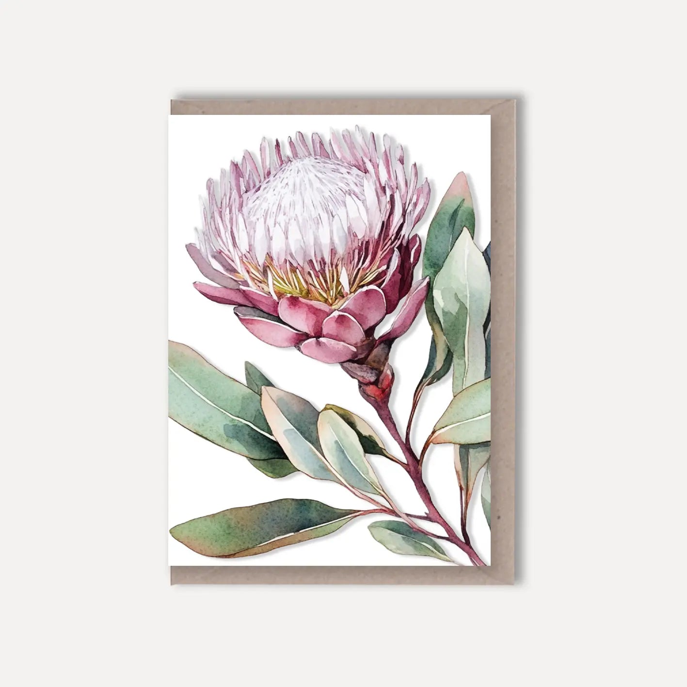 AUSTRALIAN FLORAL Blank greeting card - Single Stems card 08 Protea Scattered Seed Co