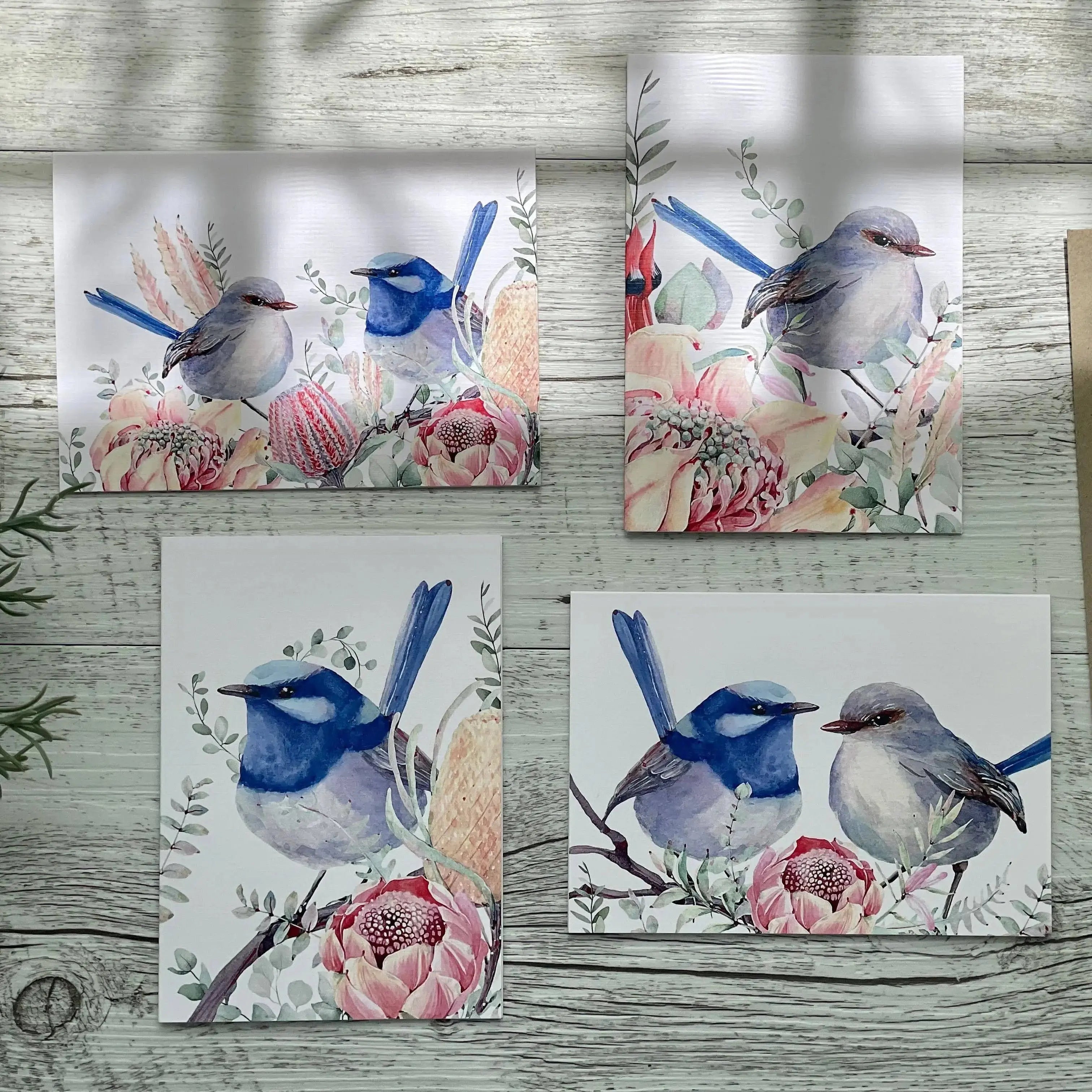 Superb Fairy Wrens - Blank Cards set of 4: All 4 please Scattered Seed Co