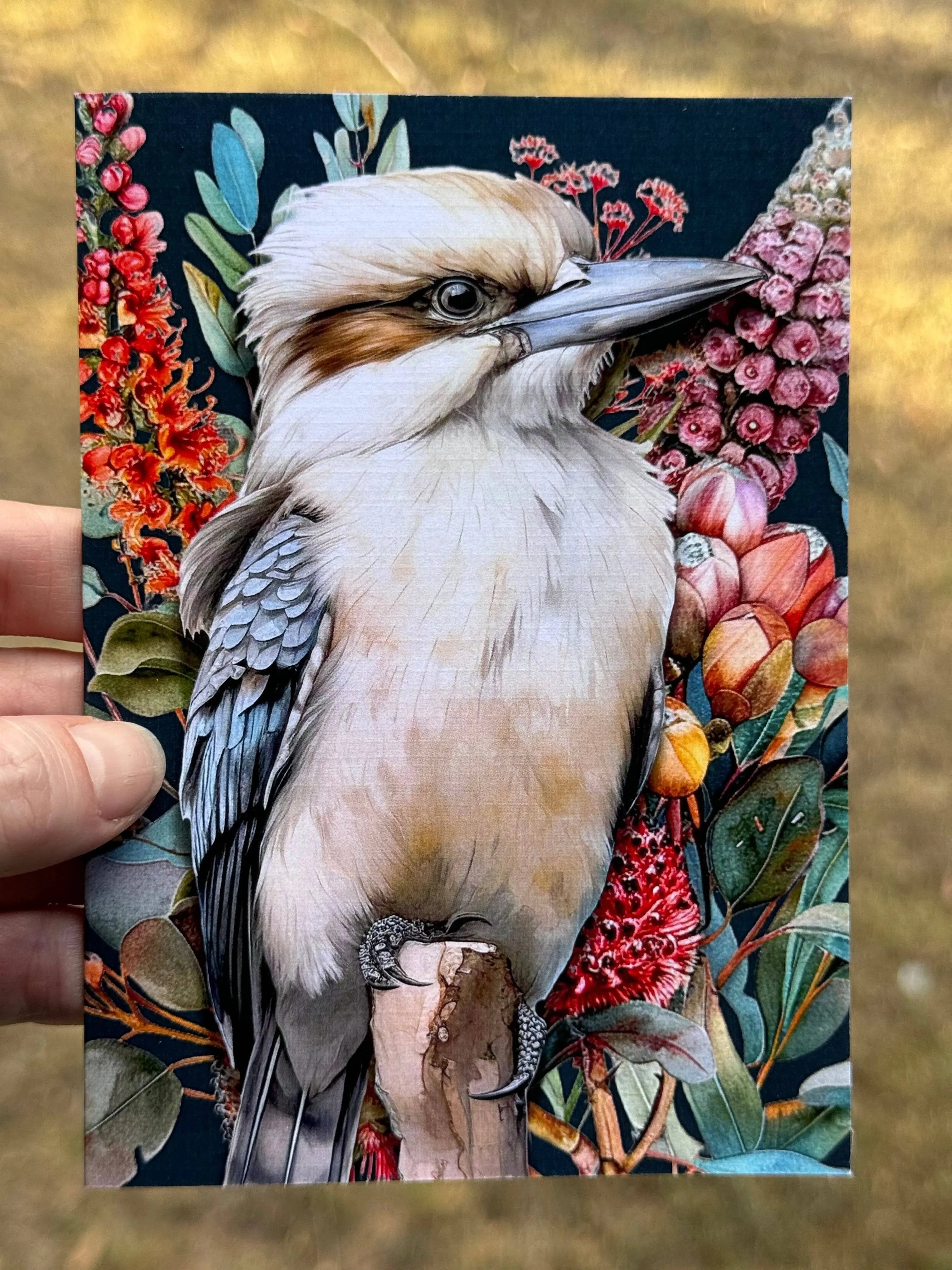 Australian Kookaburra on Native Florals Greeting Card Scattered Seed Co