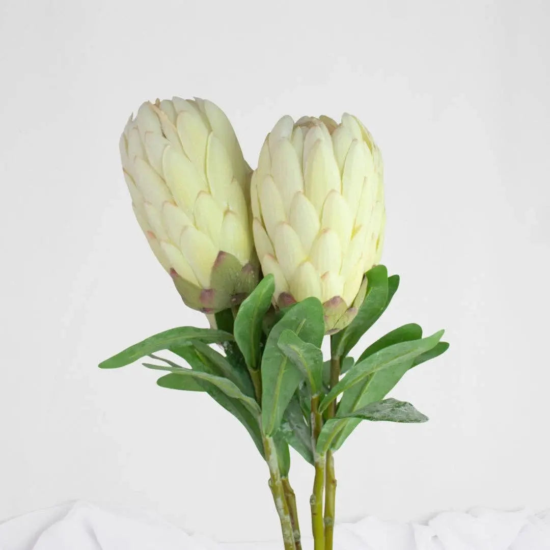 Protea Stem White Each Stem - Realistic Artificial Flowers Realistic Artificial Flowers