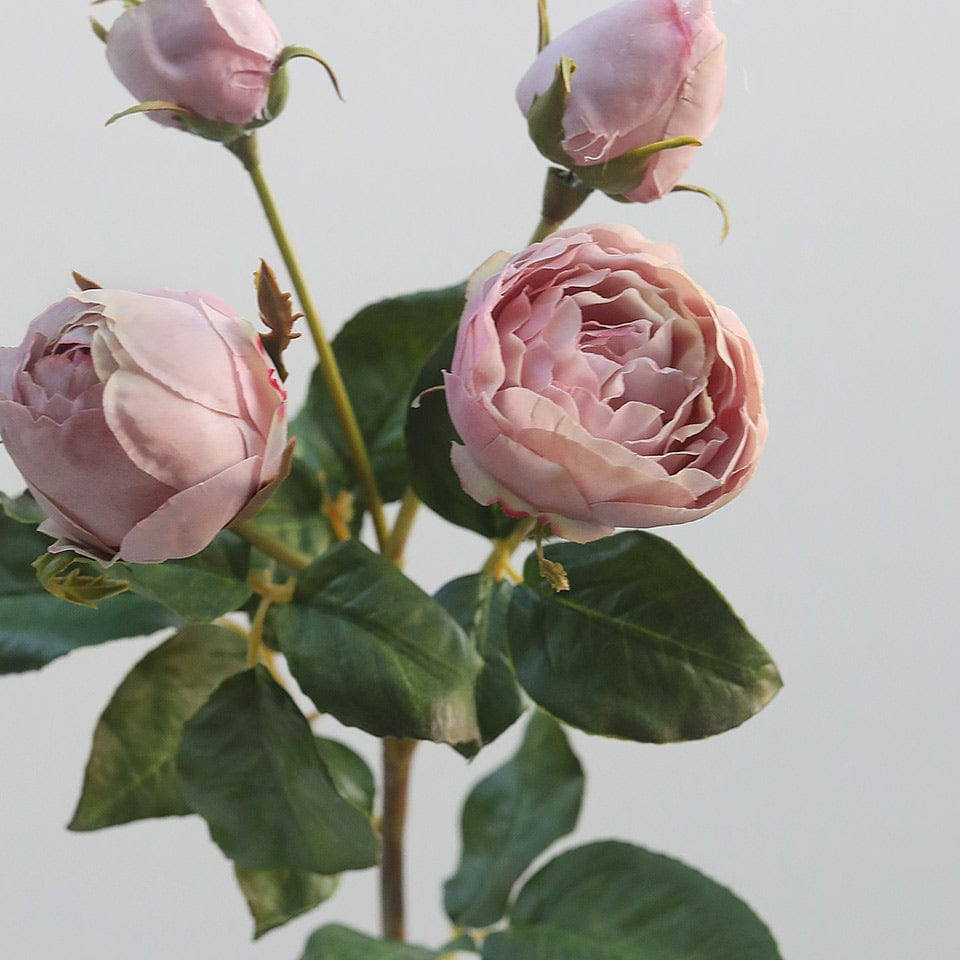 Mauve English Rose 23" Prestige Botanicals