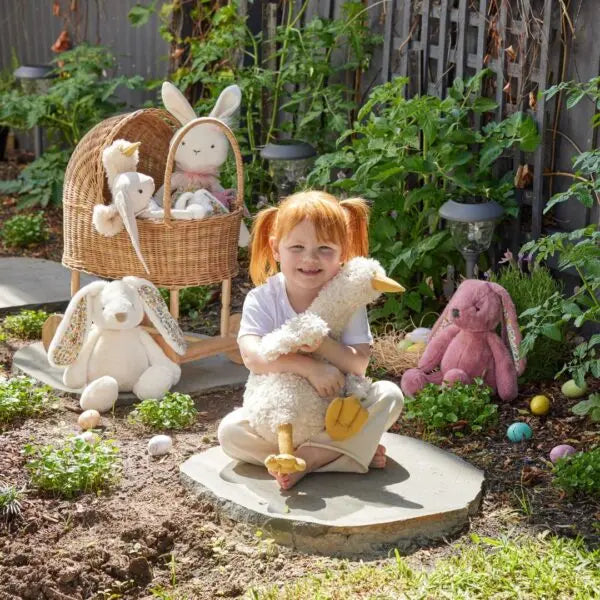 Big Wiggles The Duck Barrington Country Homewares