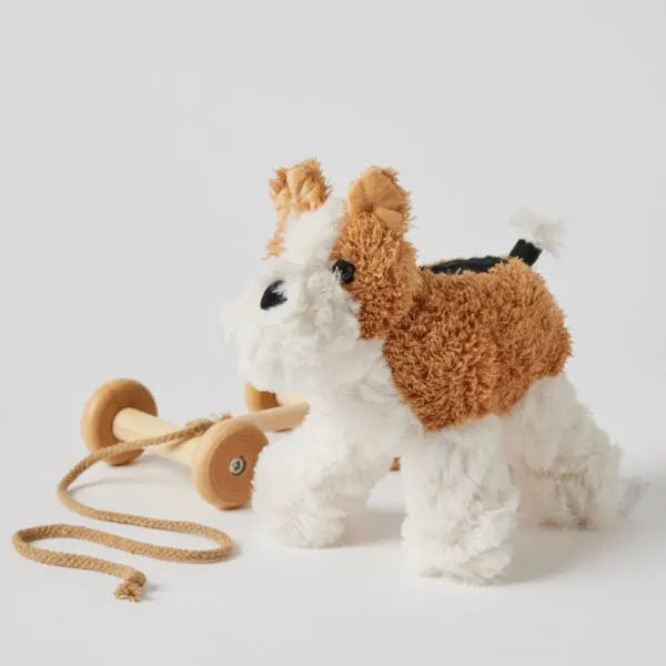 Dog Pull Along – Plush Toy with Removable Wheels Pilbeam Living