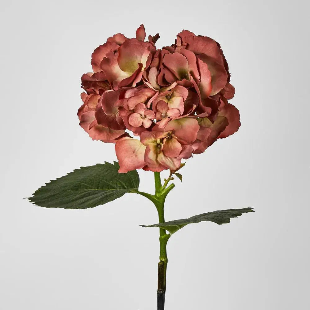 Hydrangea Large Stem with Leaves – 75cm | Rust Pink 2 Pack