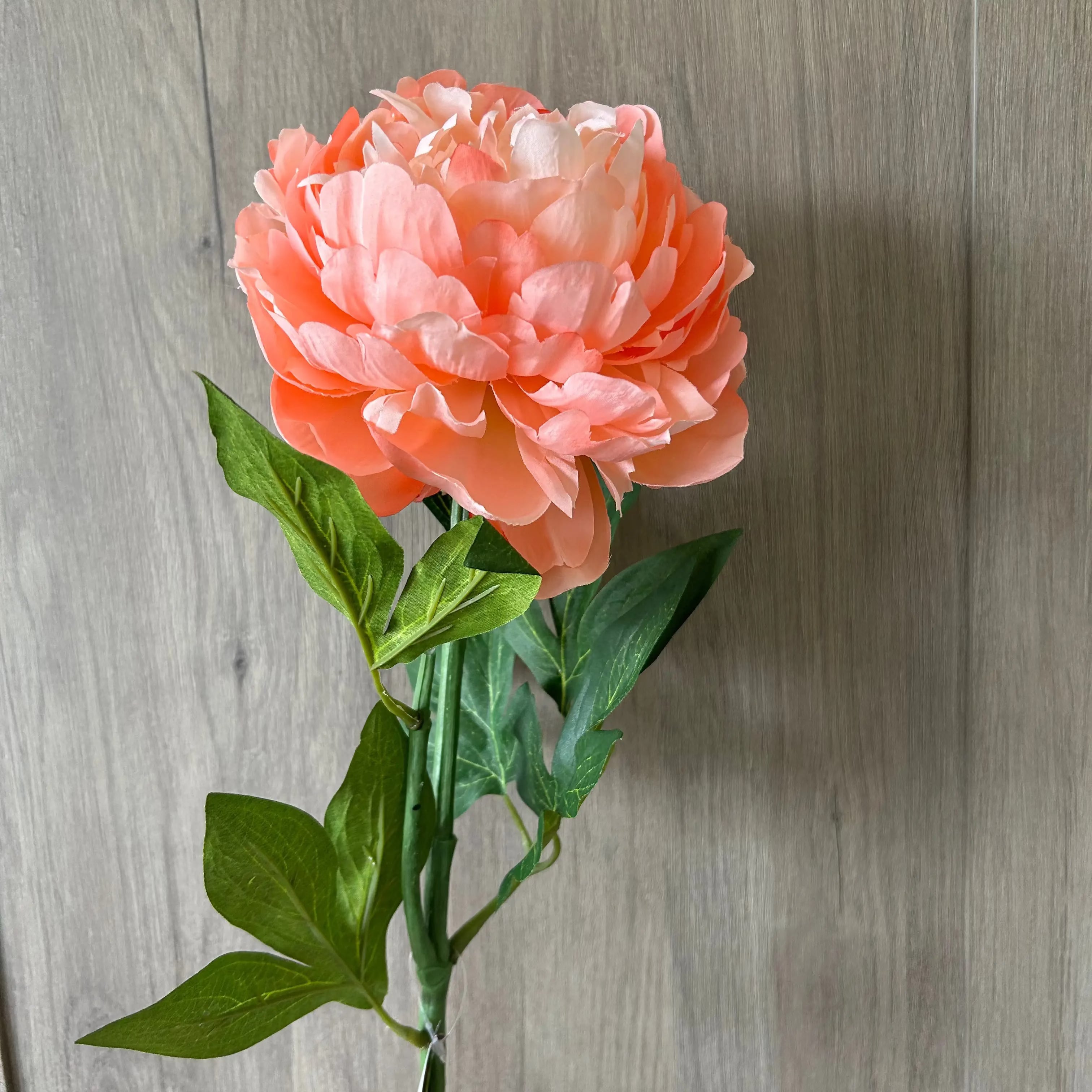 Pink/Peach Peony Large Bloom Each Stem