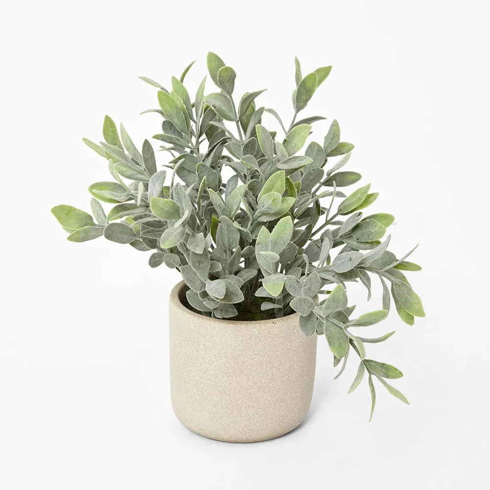 Potted Melon Seed Pot Florabelle