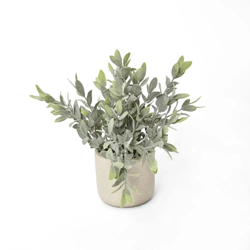 Potted Melon Seed Pot Florabelle