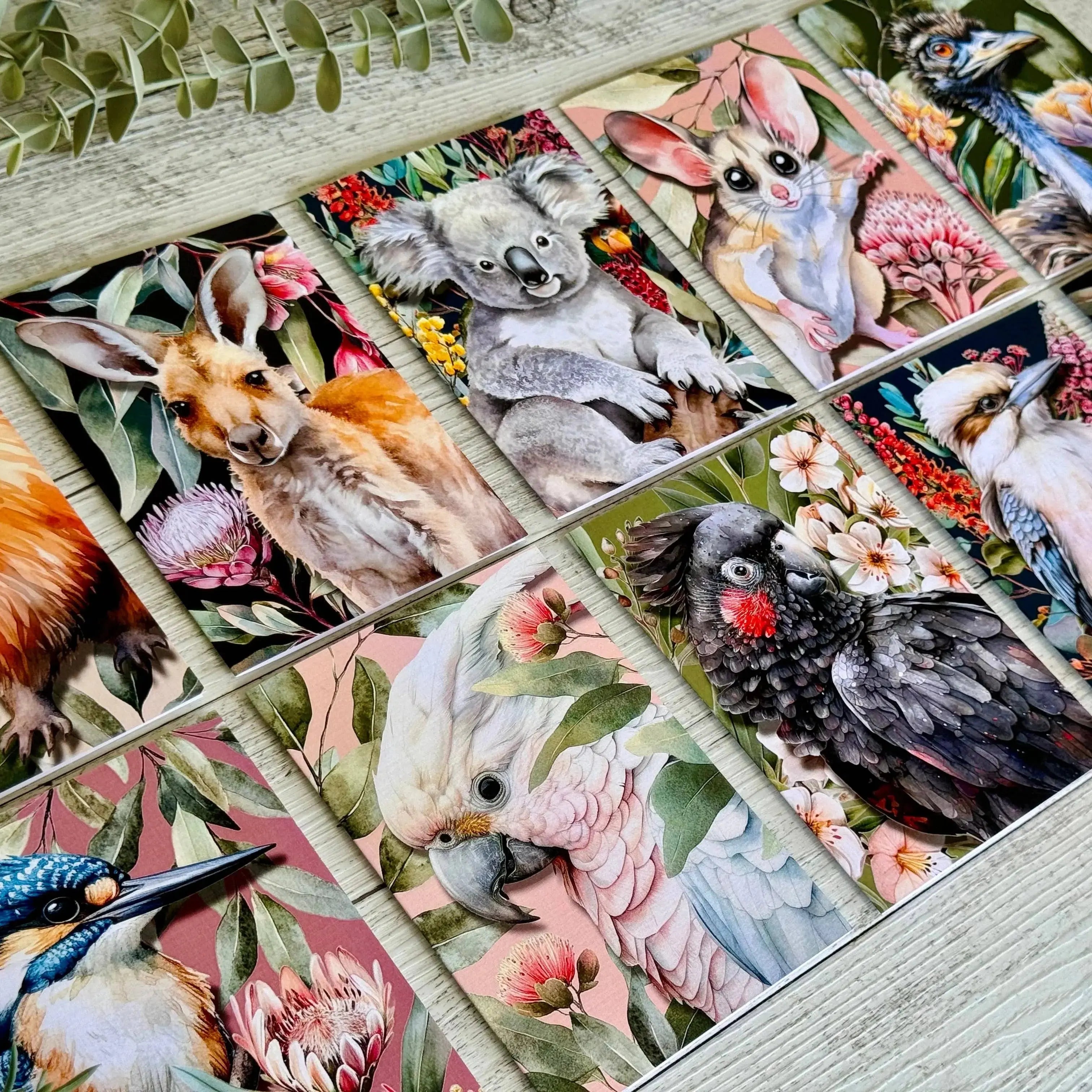 Australian Echidna on Native Florals – Greeting Card Scattered Seed Co