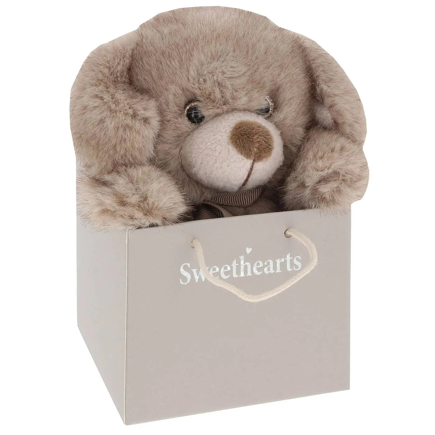 Sweethearts Puppy - Small Joe Davies