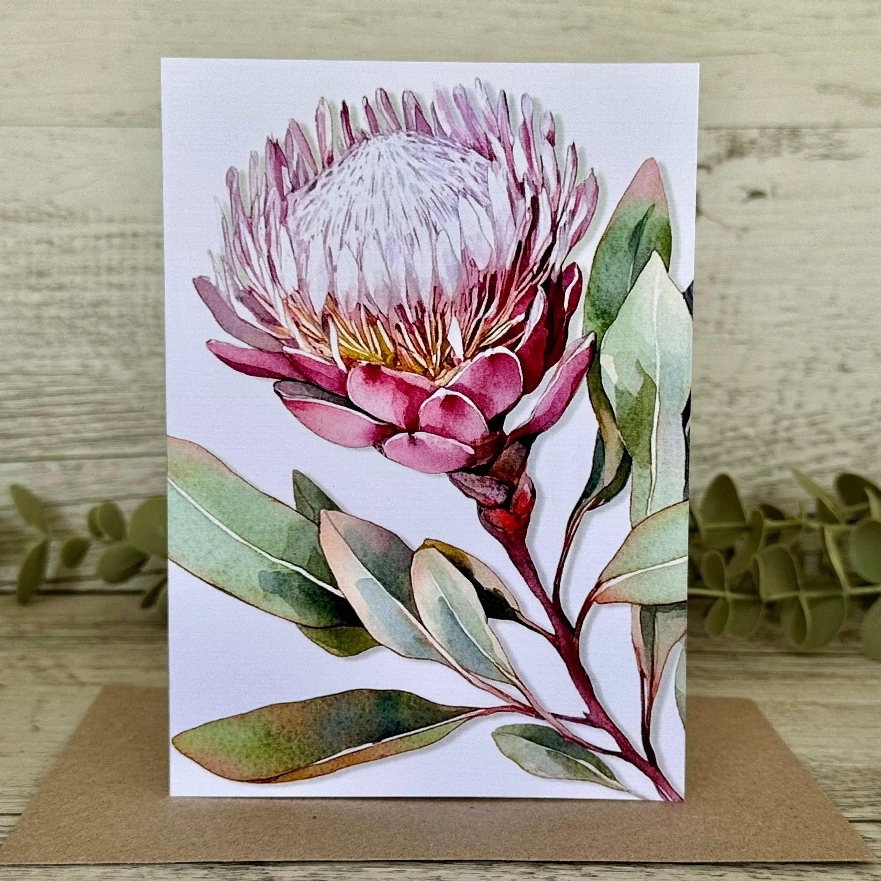 AUSTRALIAN FLORAL Blank greeting card - Single Stems card 08 Protea Scattered Seed Co