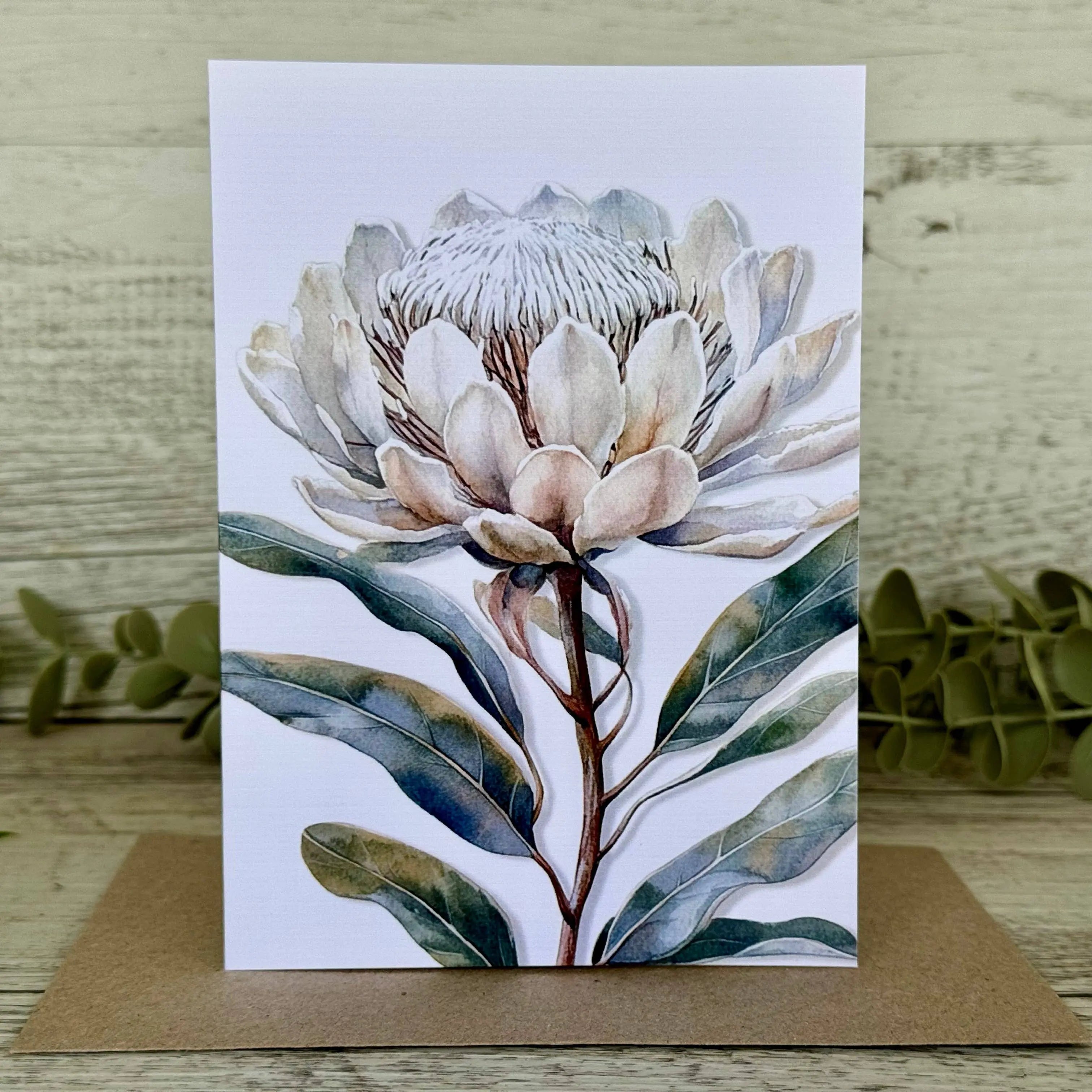 AUSTRALIAN FLORAL Blank greeting card - Single Stems card 10 White Protea Scattered Seed Co