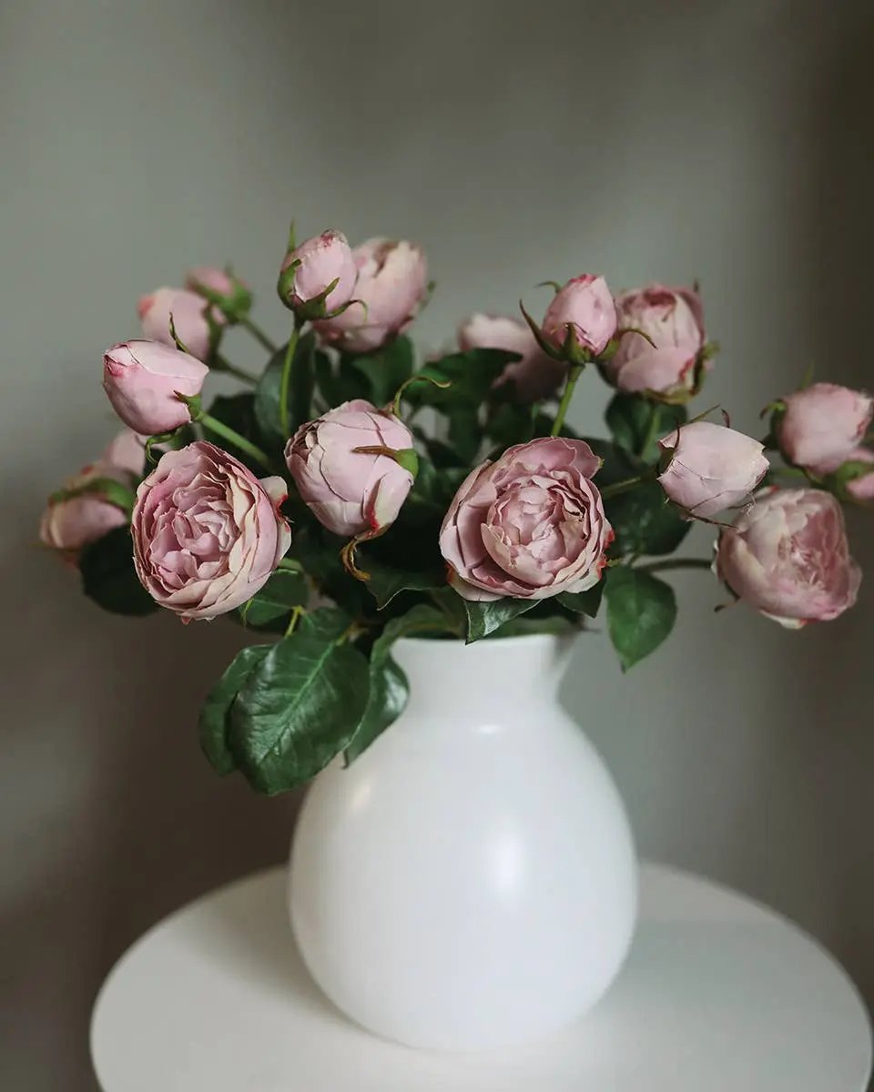 Mauve English Rose Stem - Prestige Range Prestige Botanicals