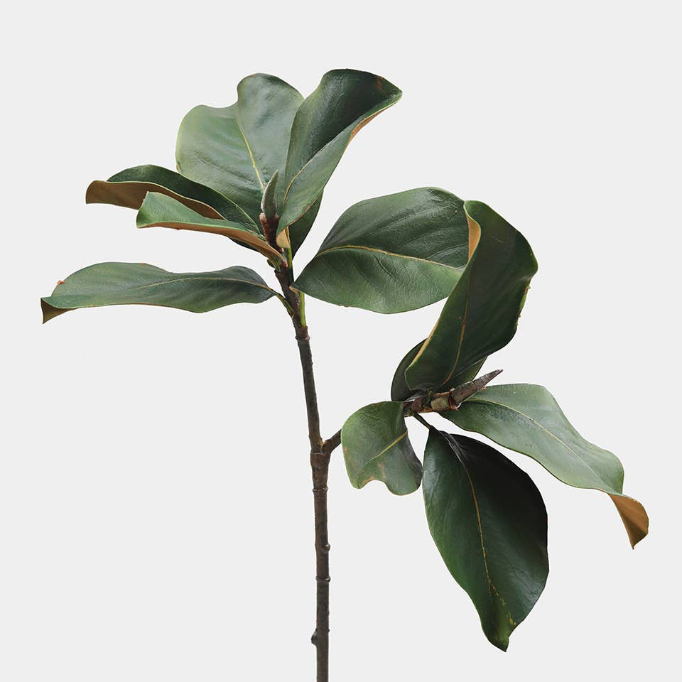 Prestige Faux Magnolia Leaf Stem – 63cm