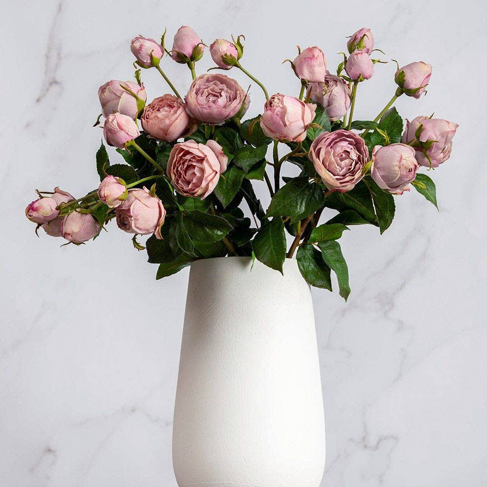 Mauve English Rose 23" Prestige Botanicals