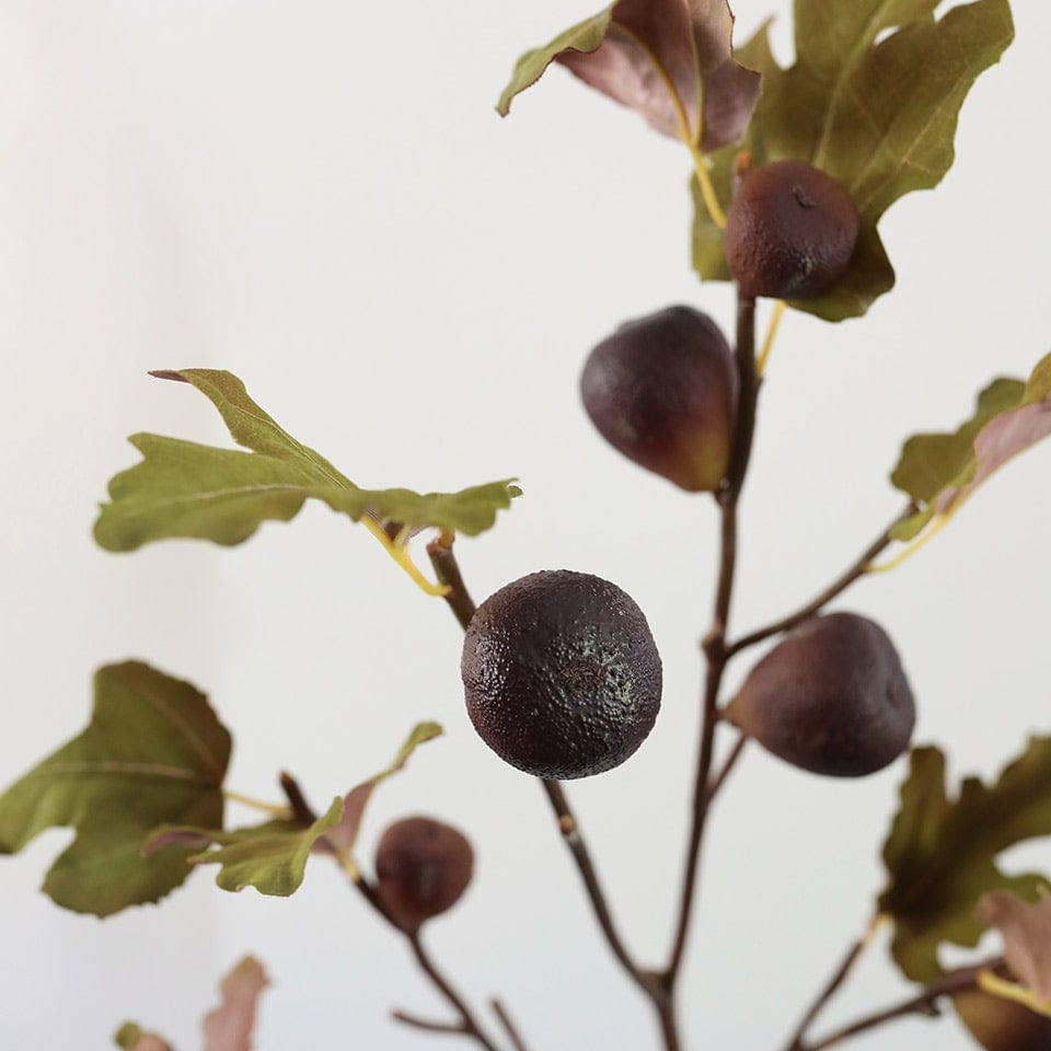 Faux Fig Fruit Branch 37" Prestige Botanicals