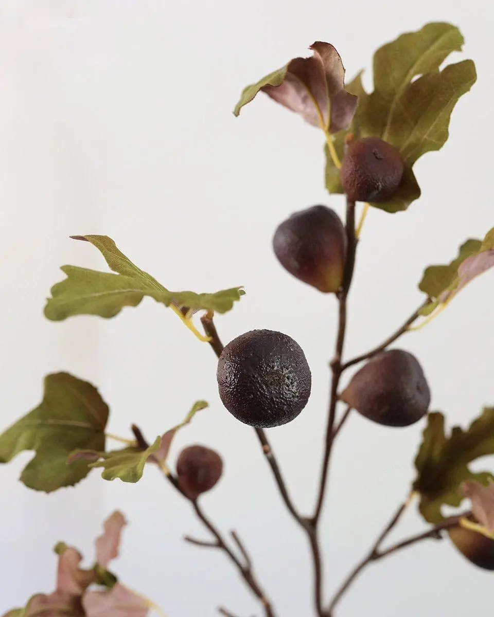 Faux Fig Fruit Branch - Prestige Range Prestige Botanicals