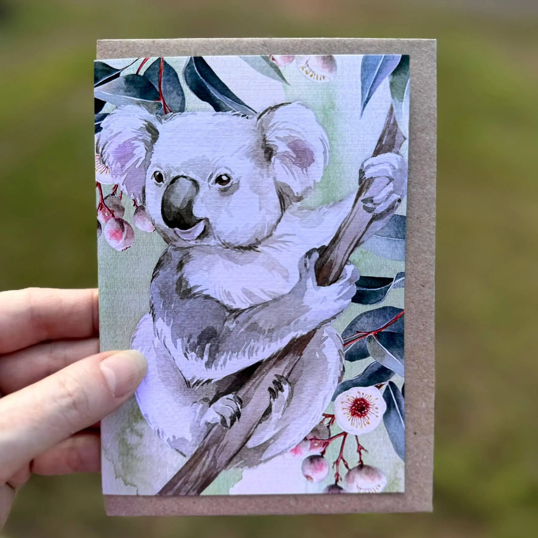 Australian Watercolour Koala on Australian Flora greeting card Scattered Seed Co