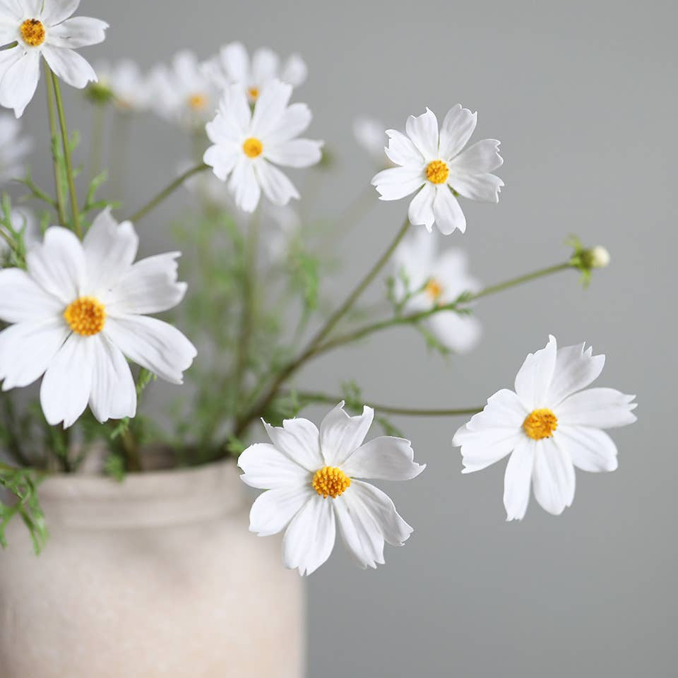 Real Touch White Cosmos 29” Prestige Botanicals