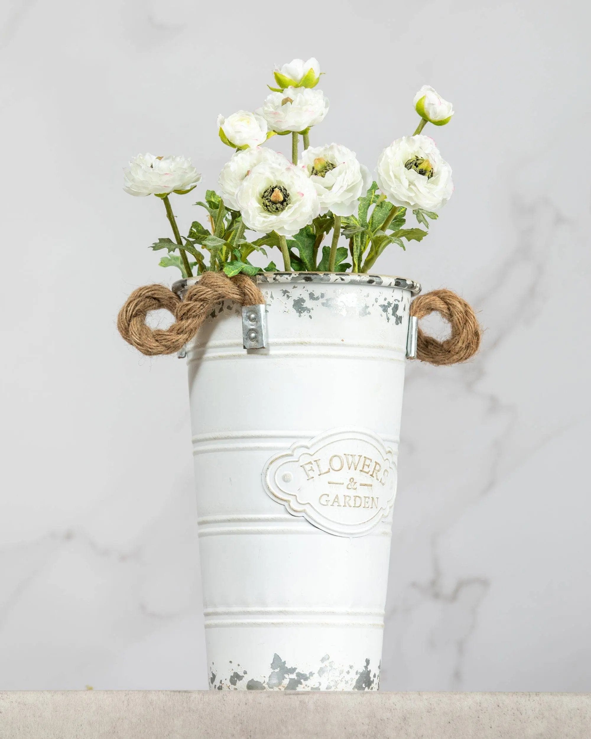 White Ranunculus Stem - Prestige Range Prestige Botanicals