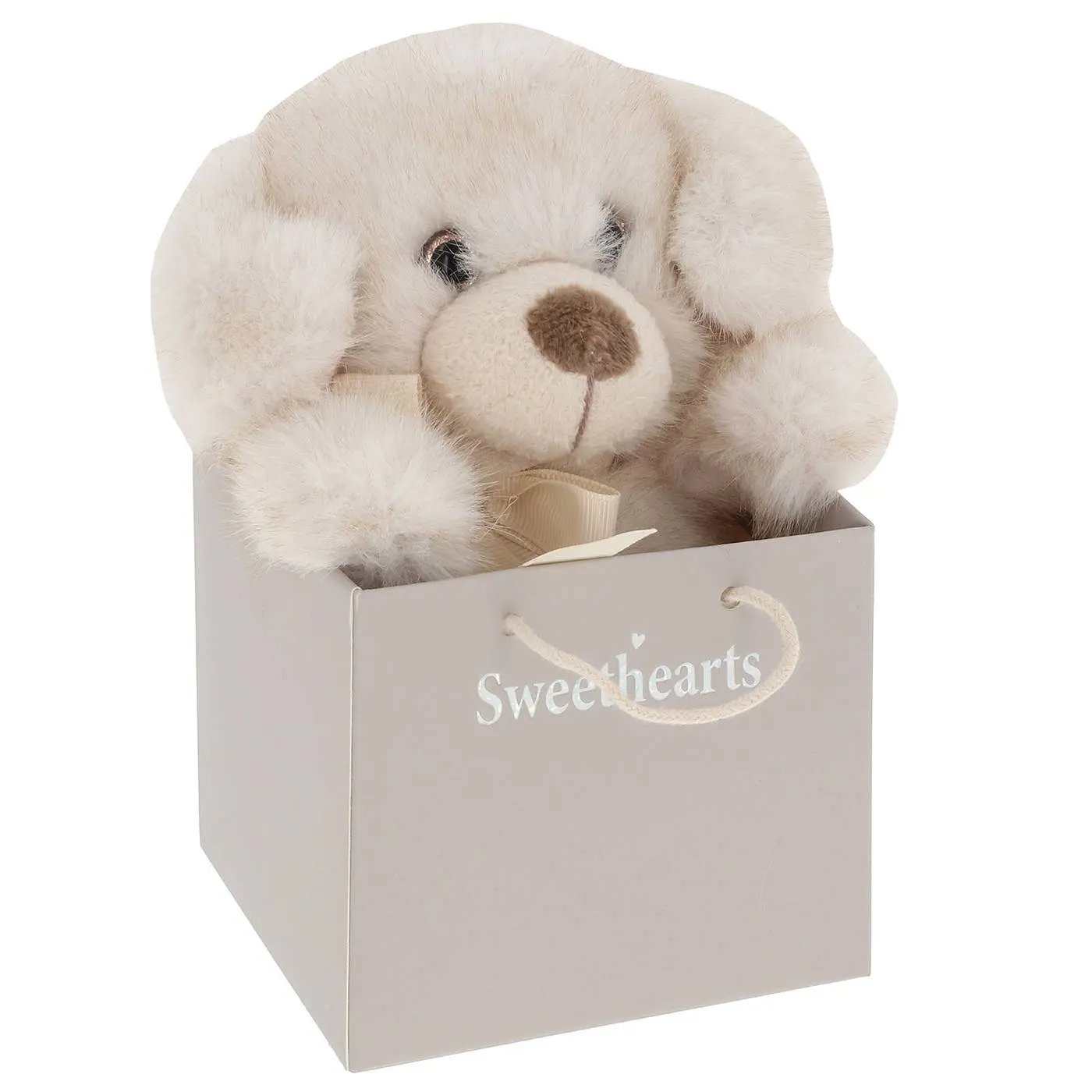 Sweethearts Puppy - Small Joe Davies