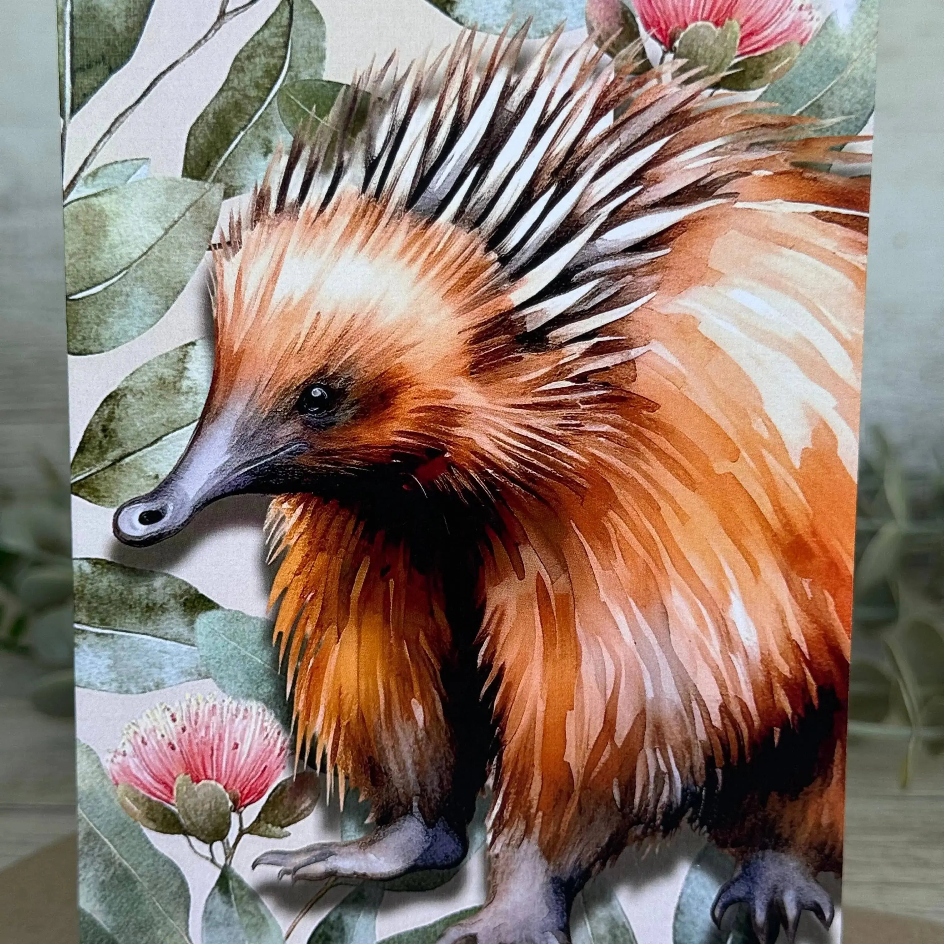 Australian Echidna on Native Florals – Greeting Card Scattered Seed Co