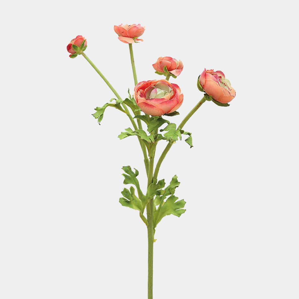 Greenery & Florals - Barrington Country Homewares