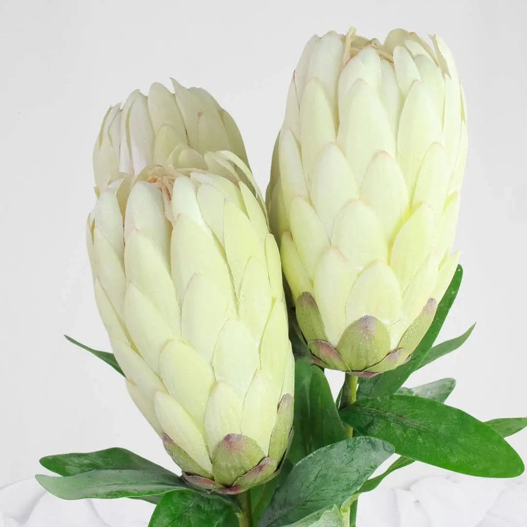 Protea Stem White Each Stem  - Realistic Artificial Flowers Realistic Artificial Flowers