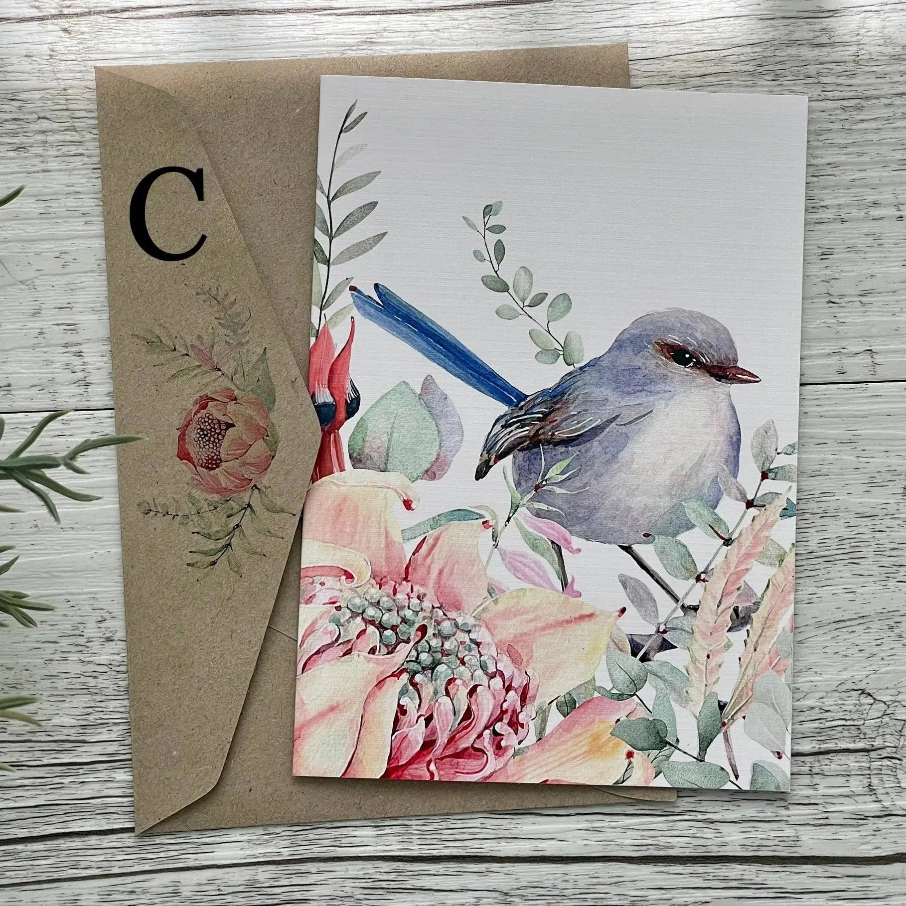 Superb Fairy Wrens - Blank Cards set of 4: All 4 please Scattered Seed Co