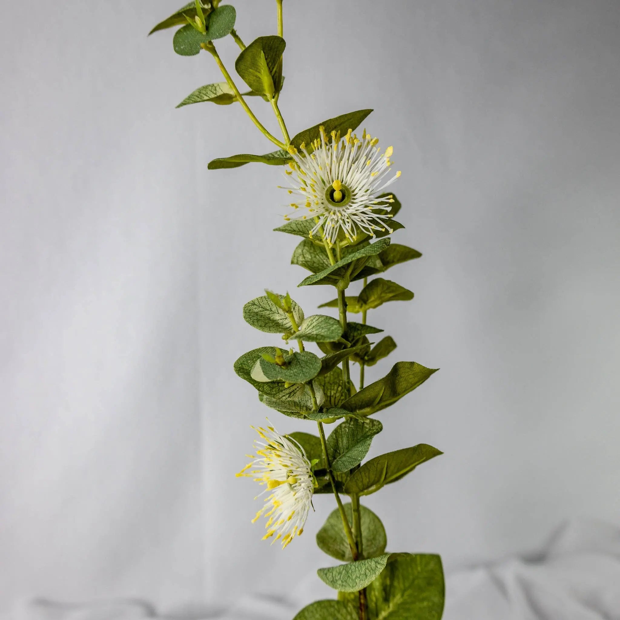 White Flowering Gum Blossom Each Stem Realistic Artificial Flowers
