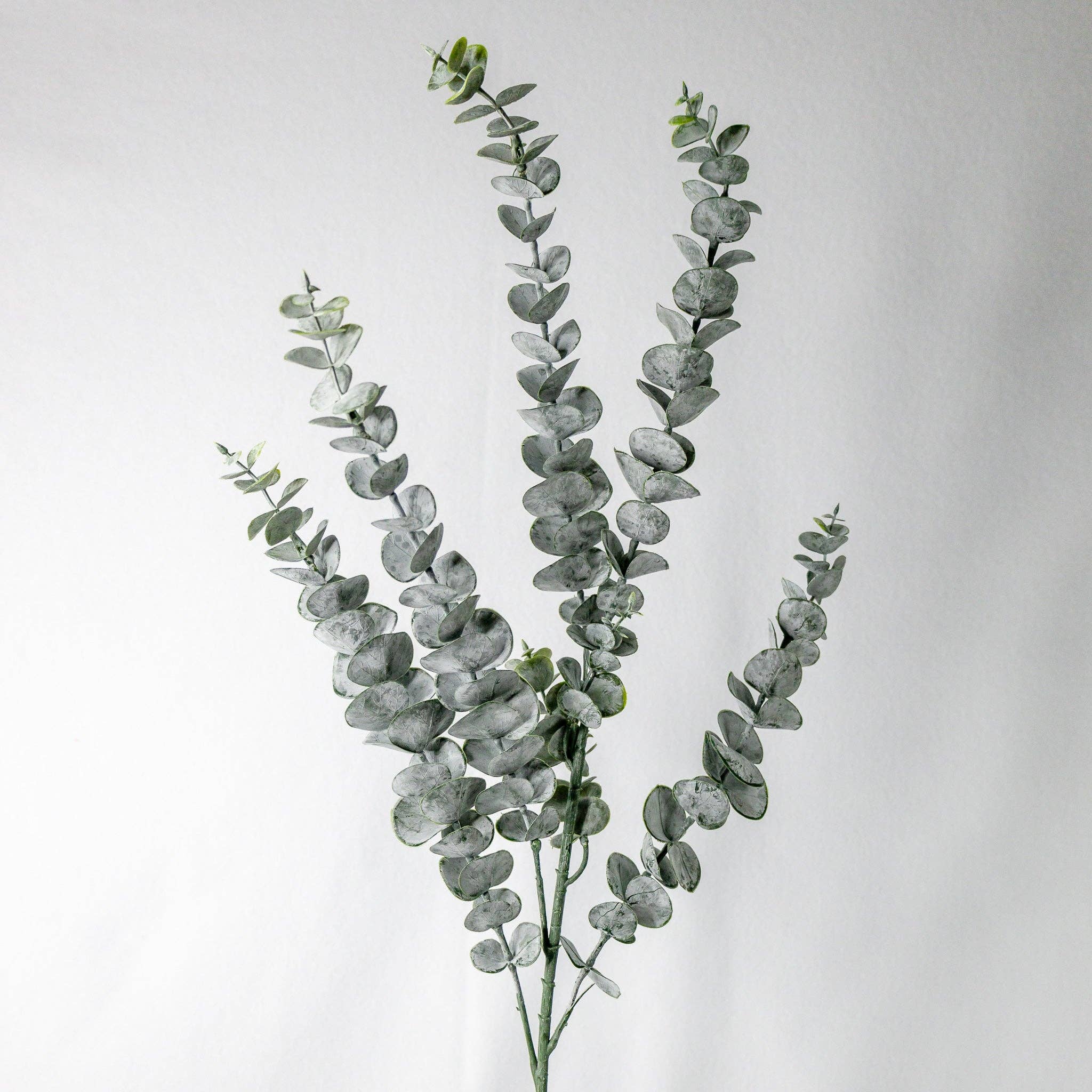 Long Spinning Gum - 6 x Single Stems Pack