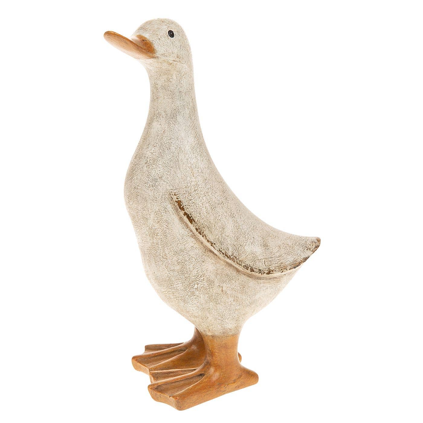David's White Duck Medium Joe Davies