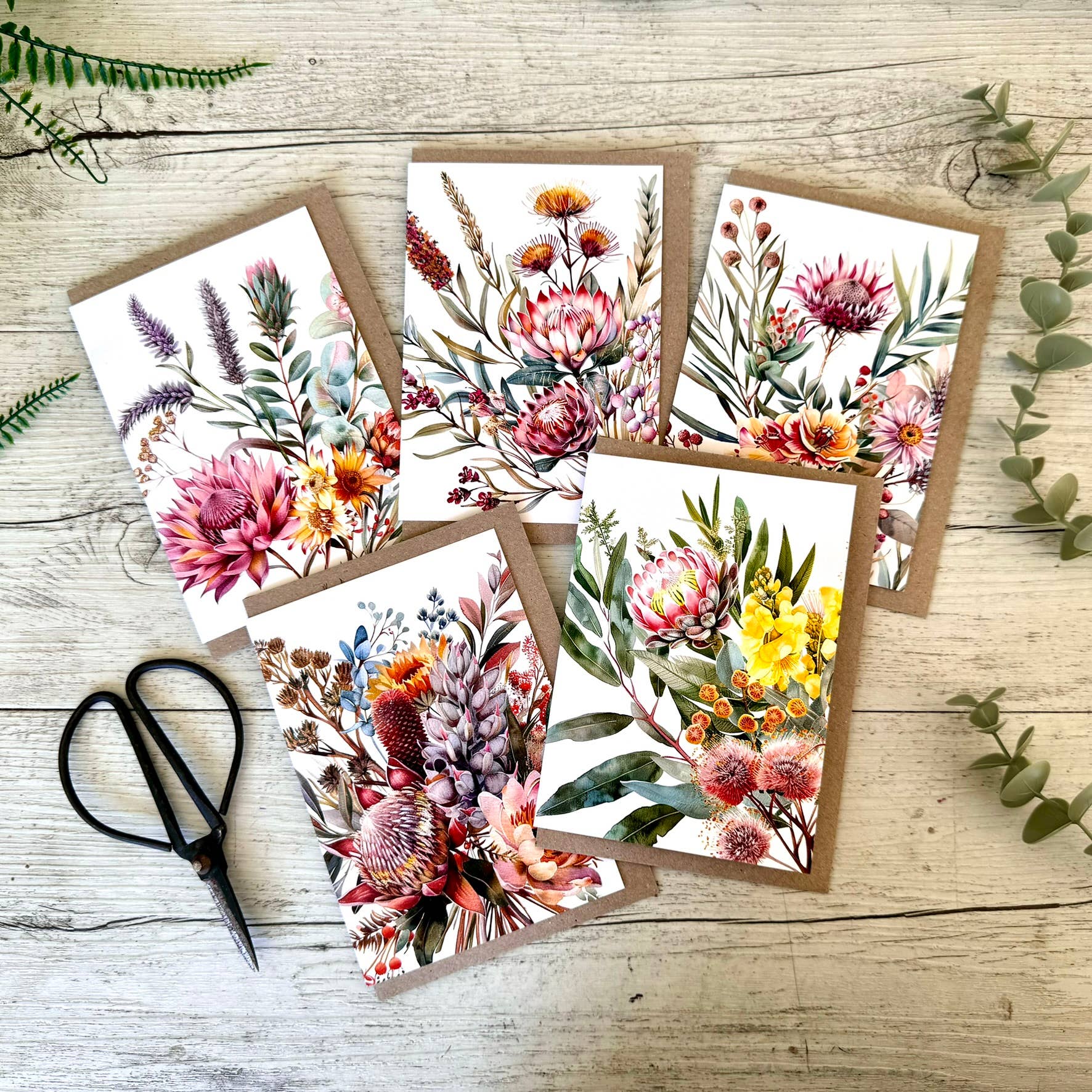 AUSTRALIAN FLORALS greeting card - Card H Scattered Seed Co