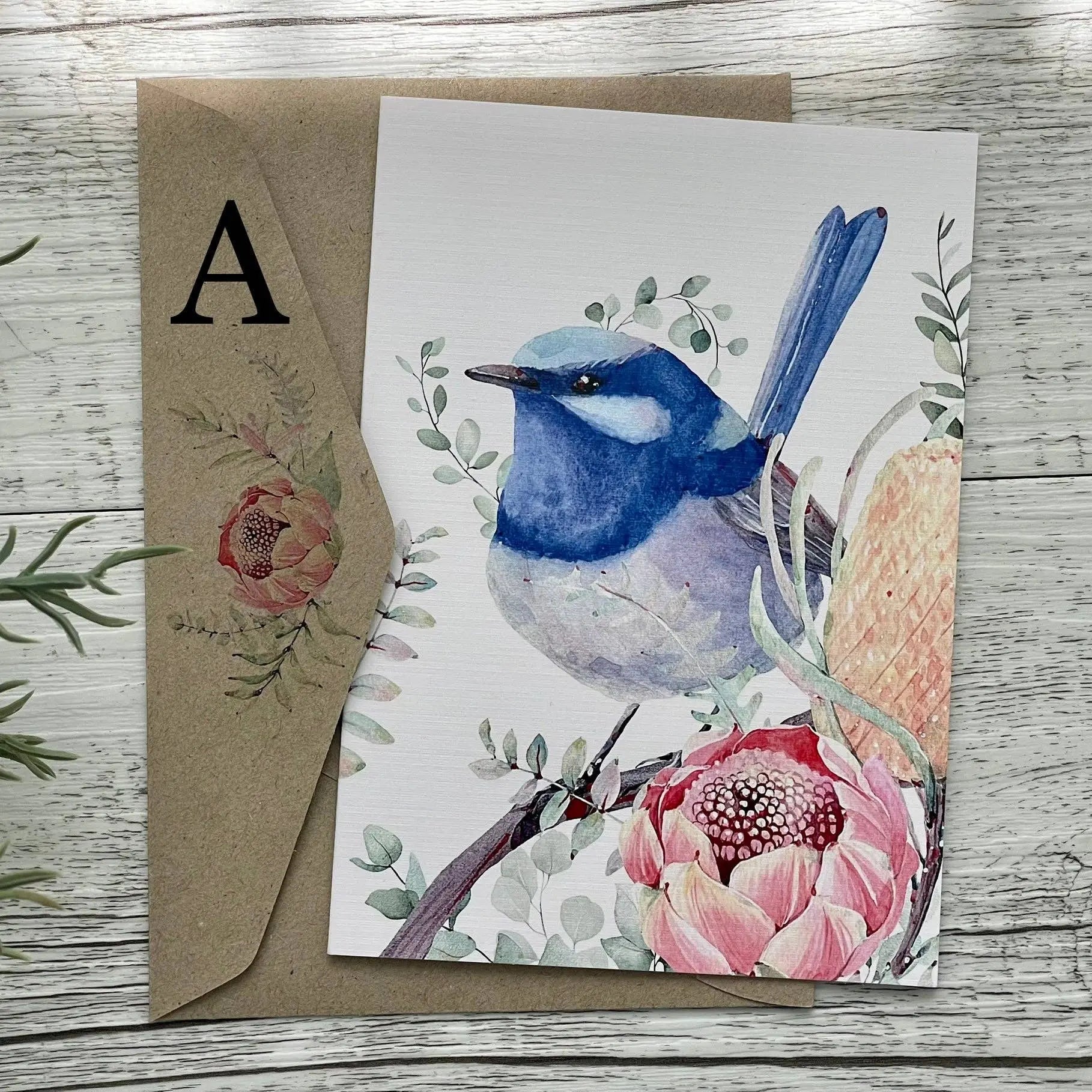 Superb Fairy Wrens - Blank Cards set of 4: All 4 please Scattered Seed Co