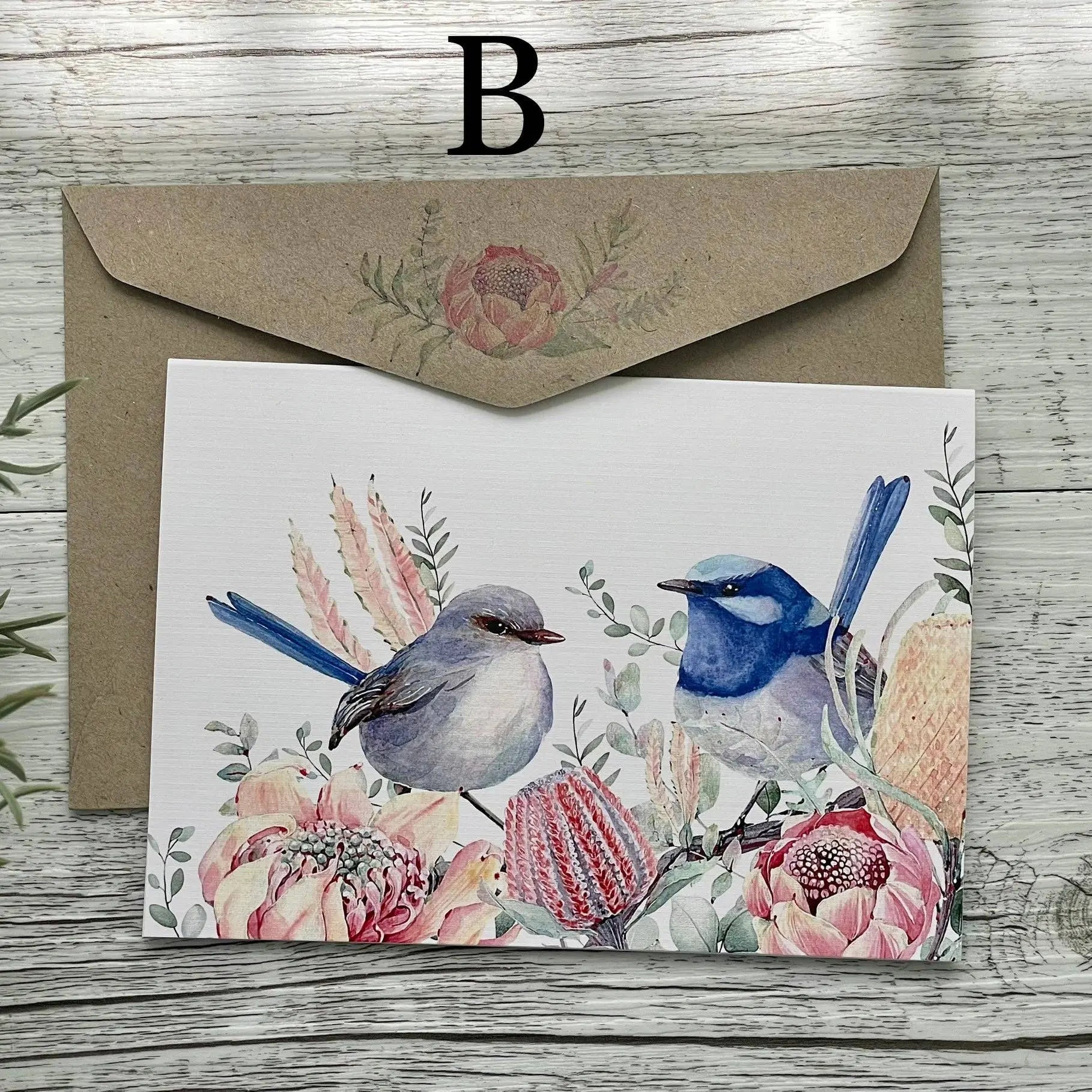 Superb Fairy Wrens - Blank Cards set of 4: All 4 please Scattered Seed Co