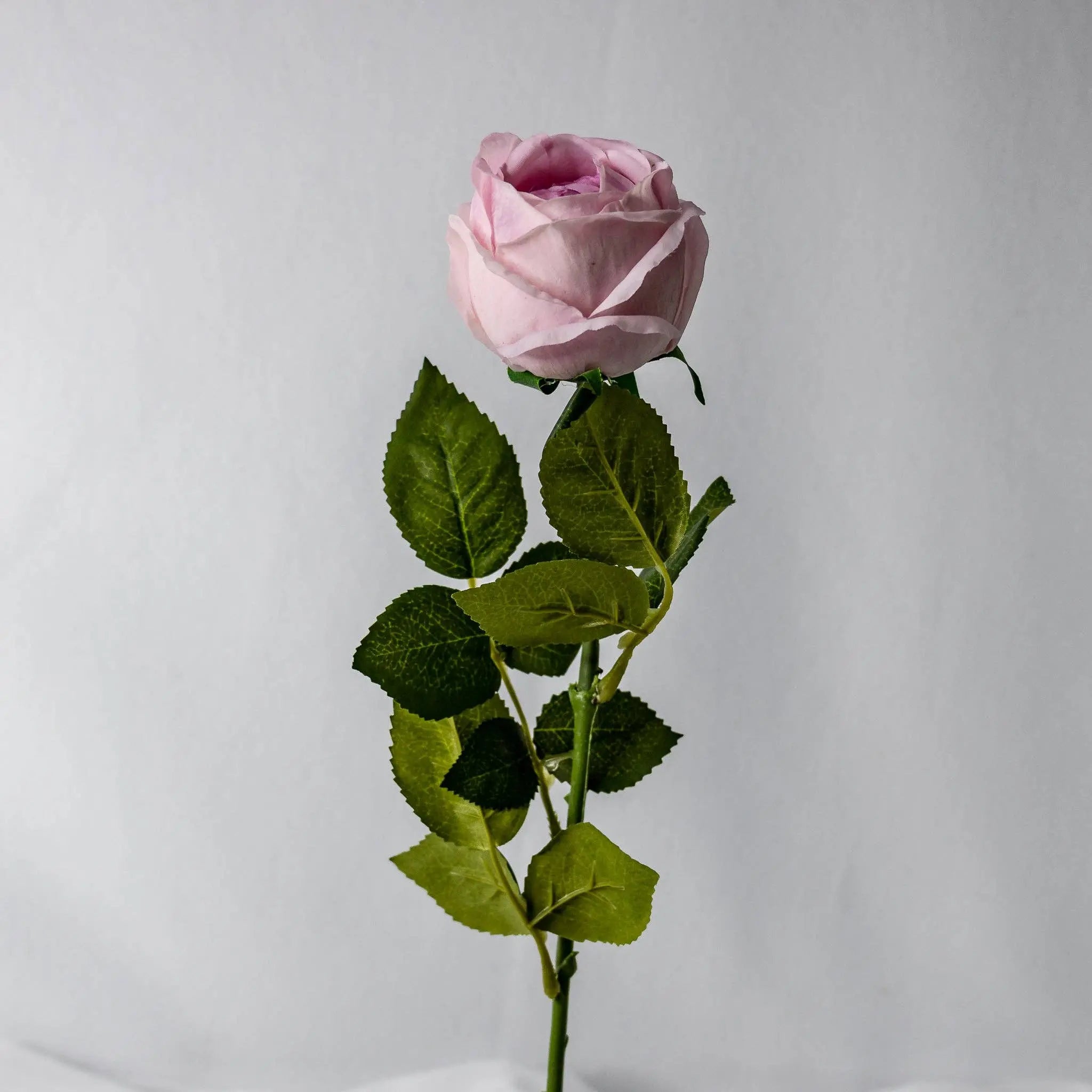 Vintage Lilac David Austin Real Touch Rose - Open Bud: Each Stem Realistic Artificial Flowers