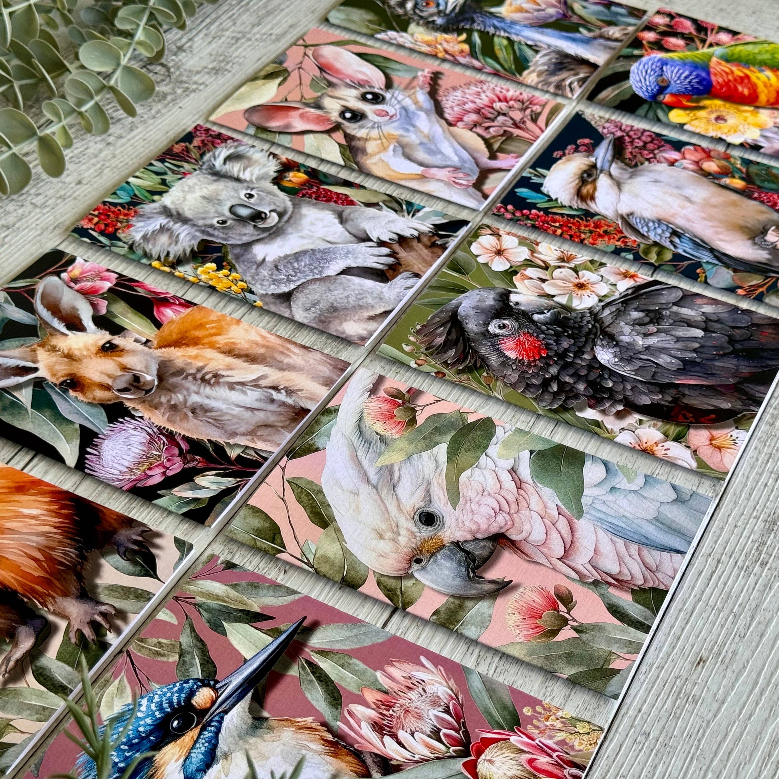 Australian Kookaburra on Native Florals greeting card Scattered Seed Co