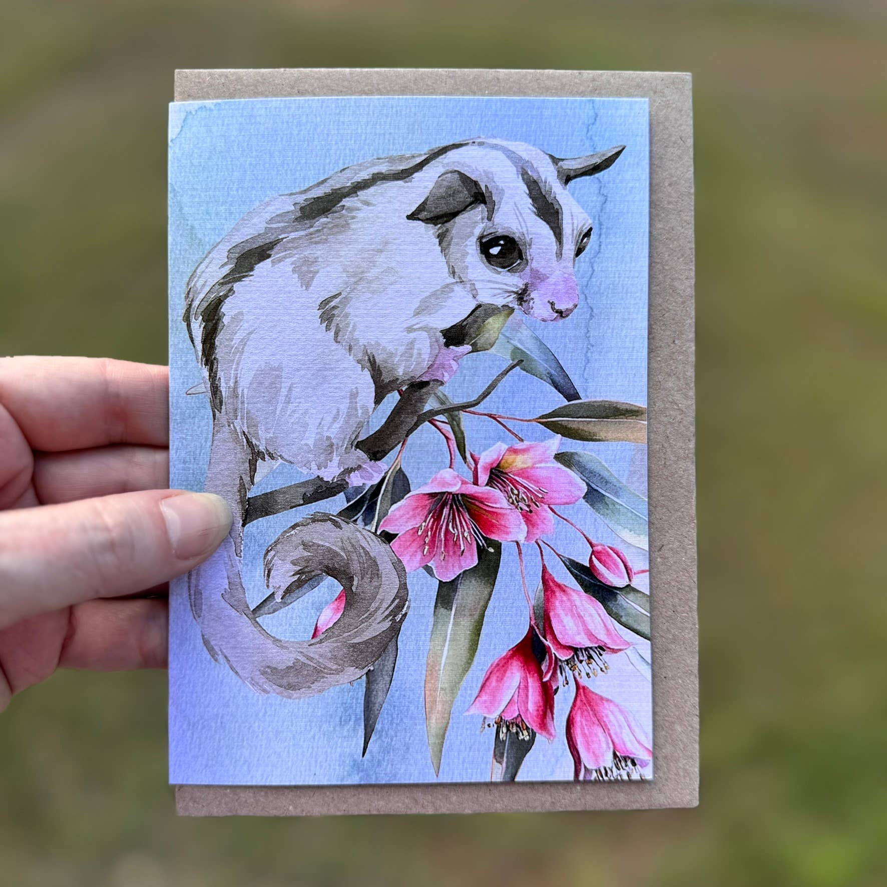 Australian Watercolour Sugar Glider on Australian Flora greeting card Scattered Seed Co