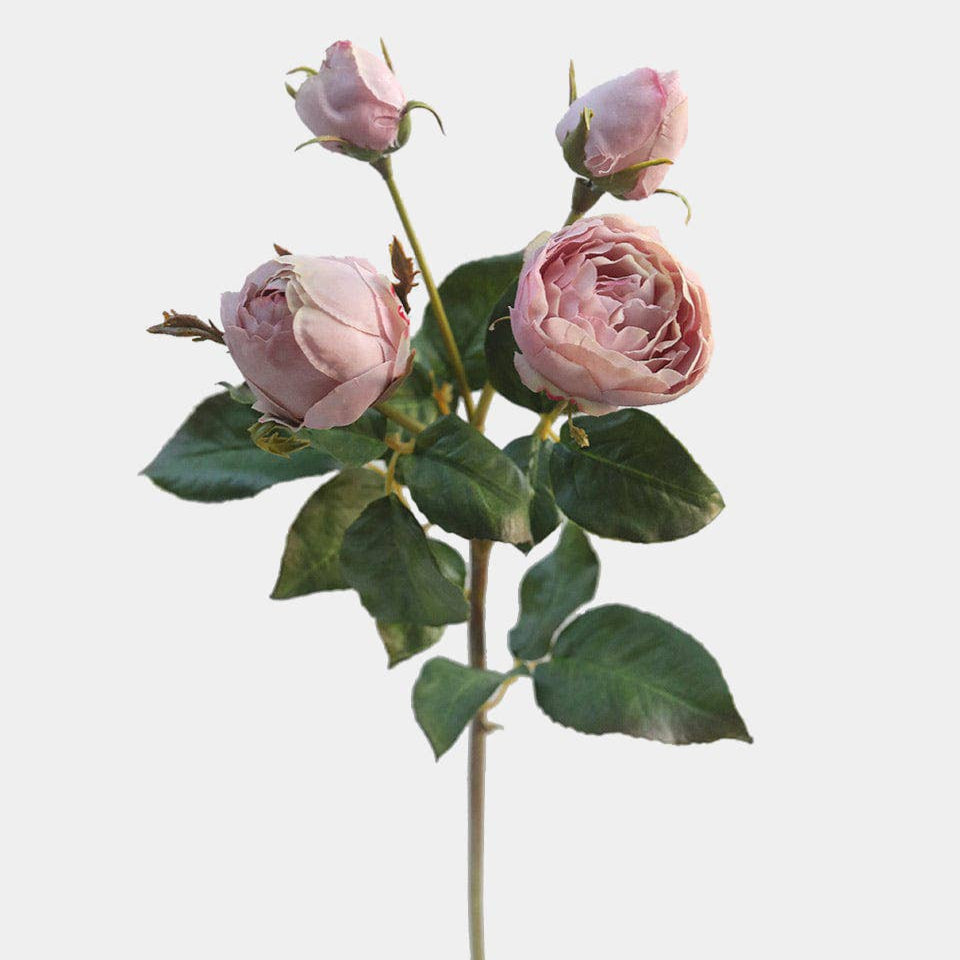 Mauve English Rose 23" Prestige Botanicals